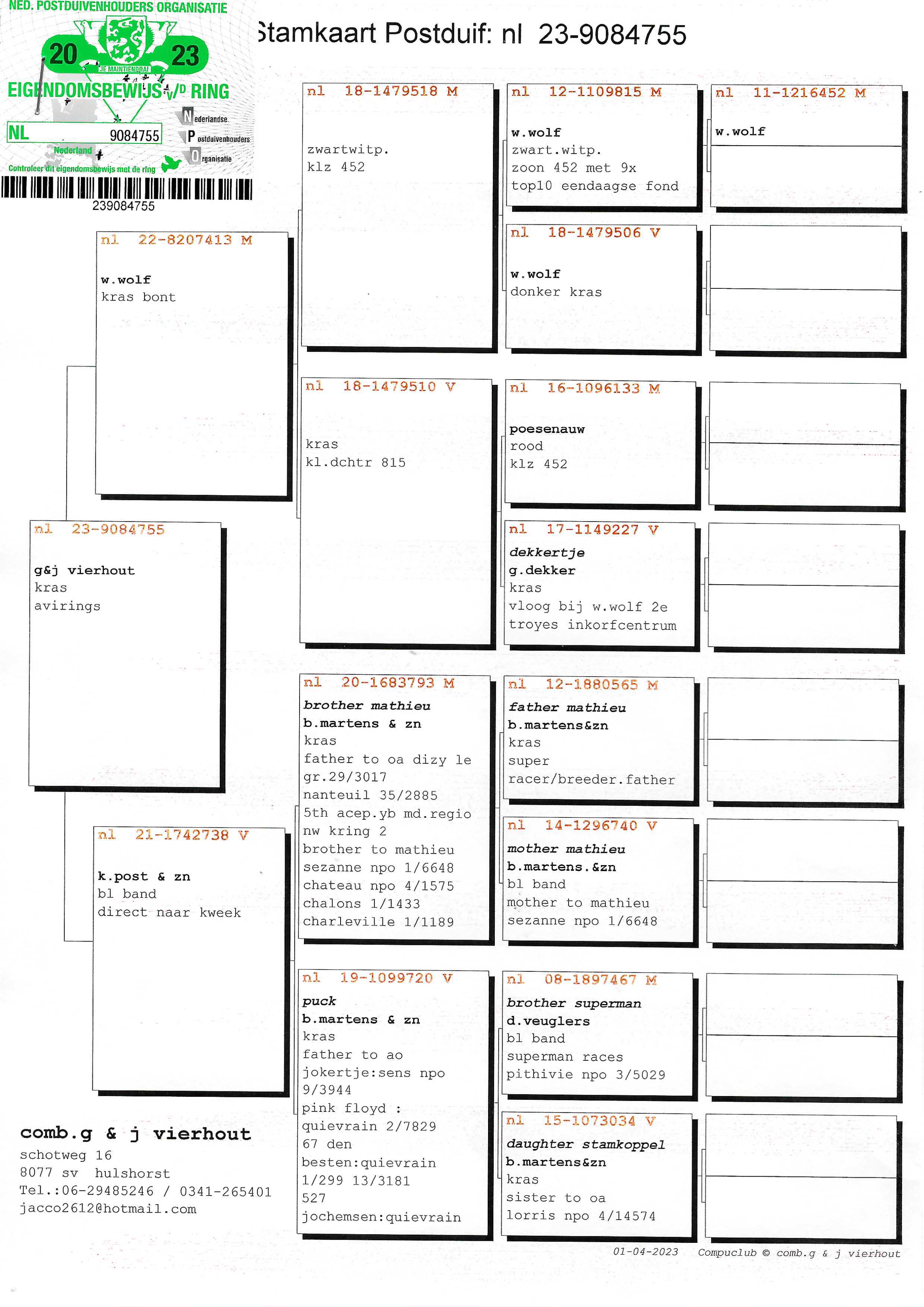 Pigeon pedigree image