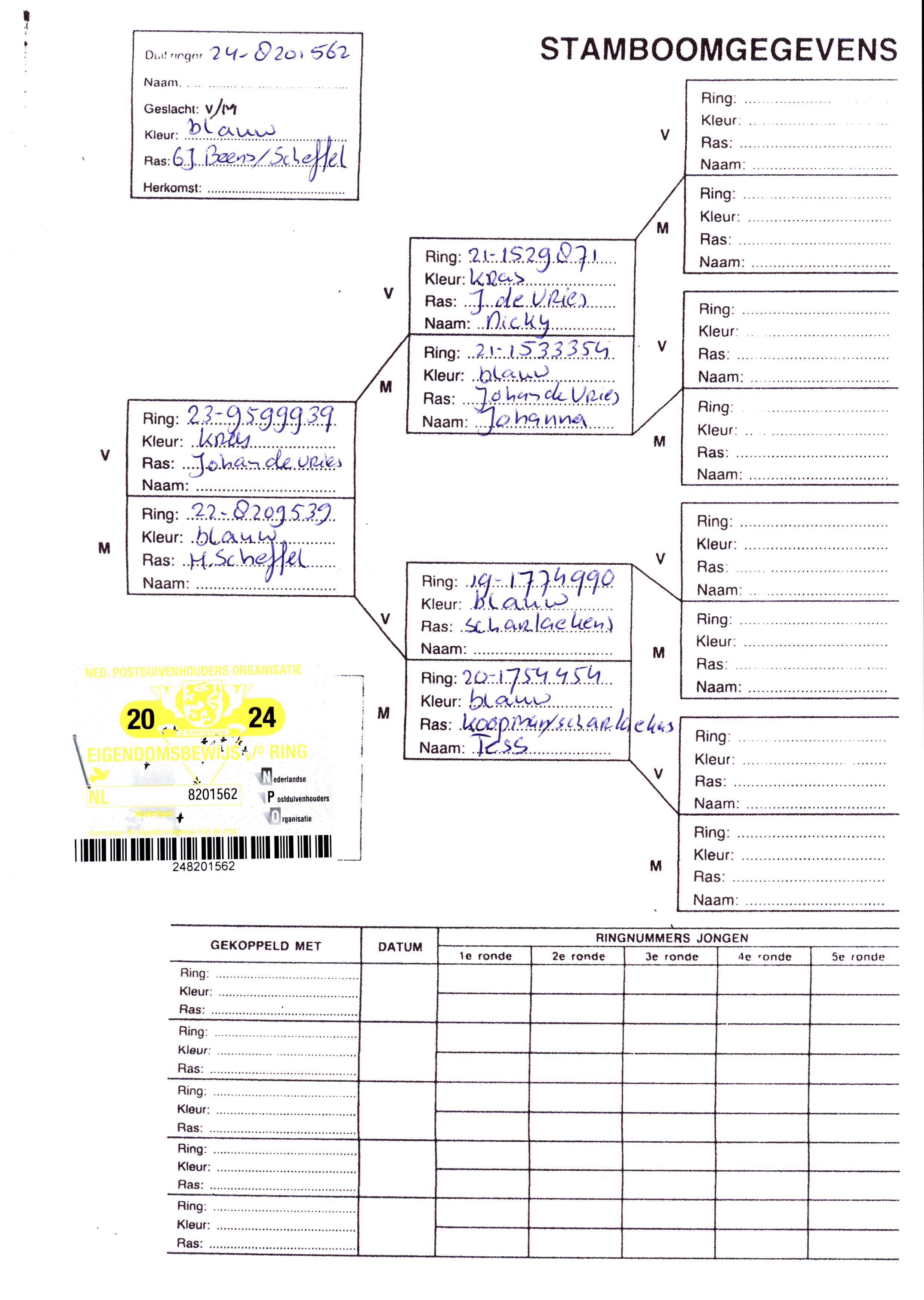Pigeon pedigree image