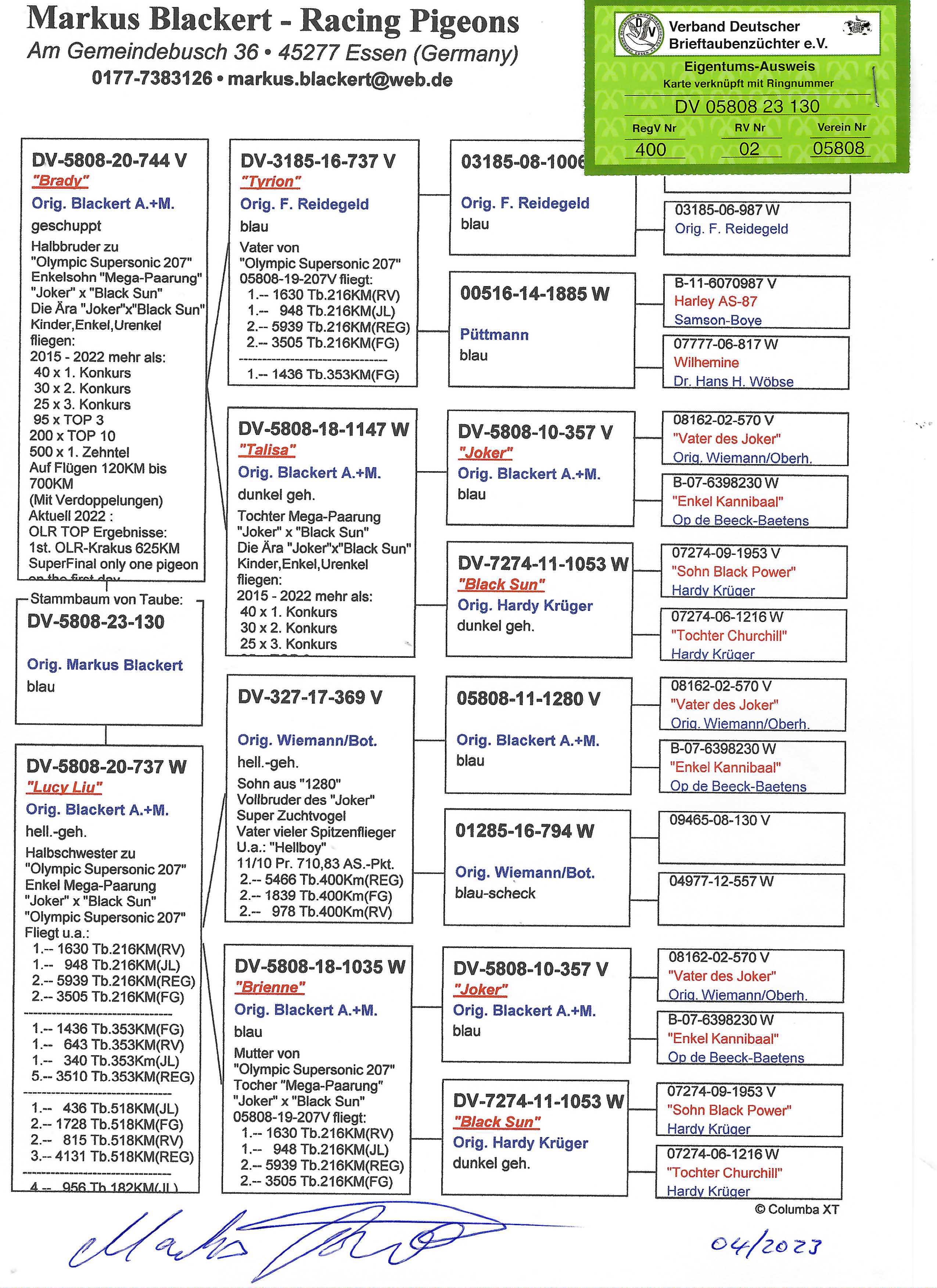 Pigeon pedigree image