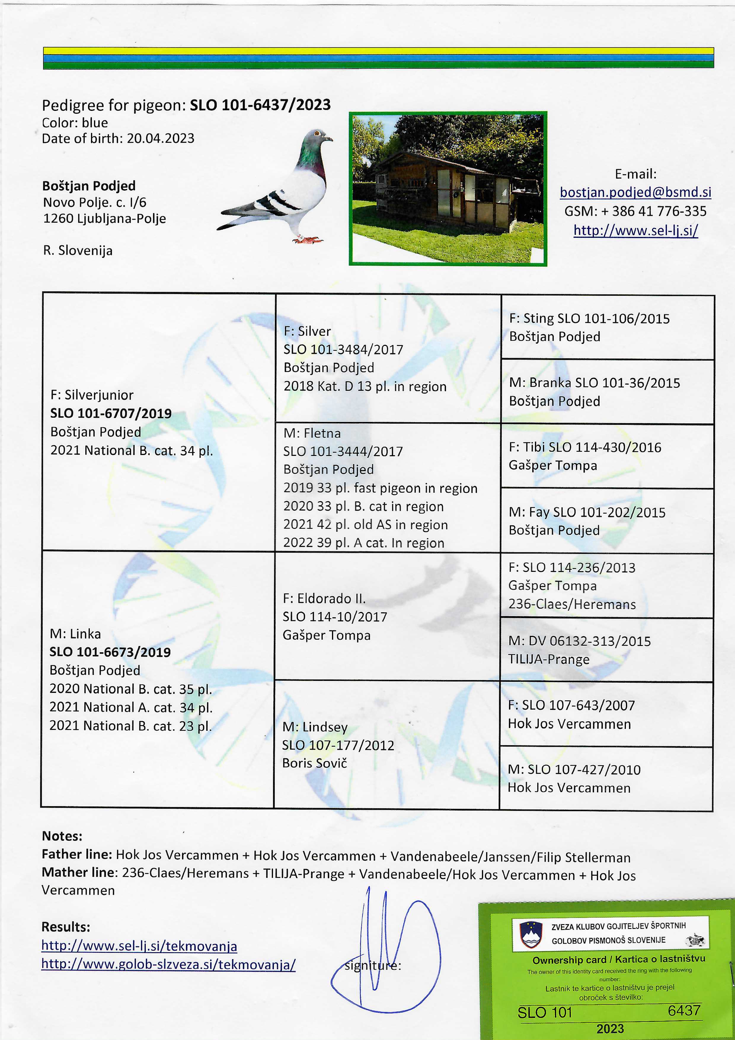 Pigeon pedigree image