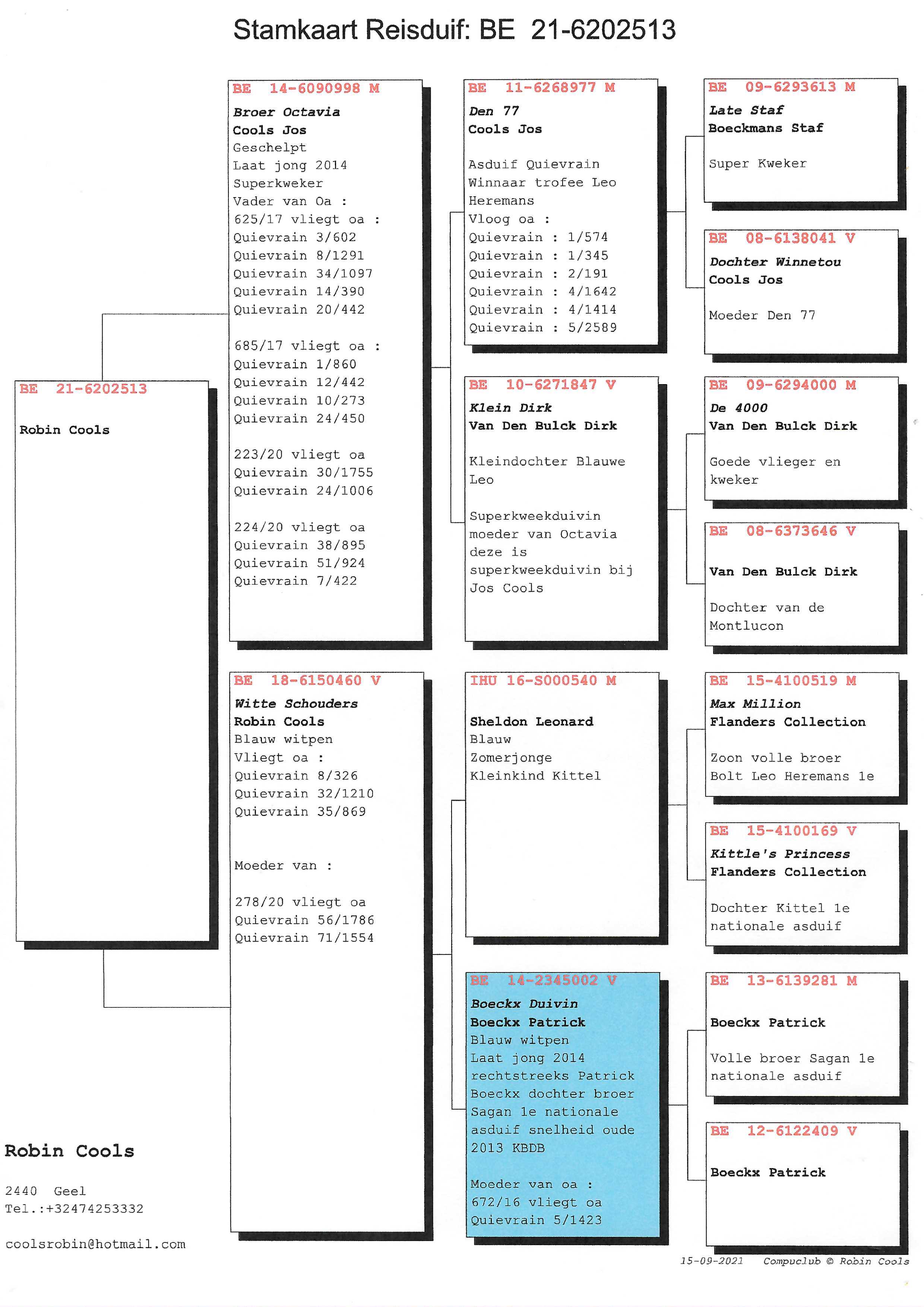 Pigeon pedigree image