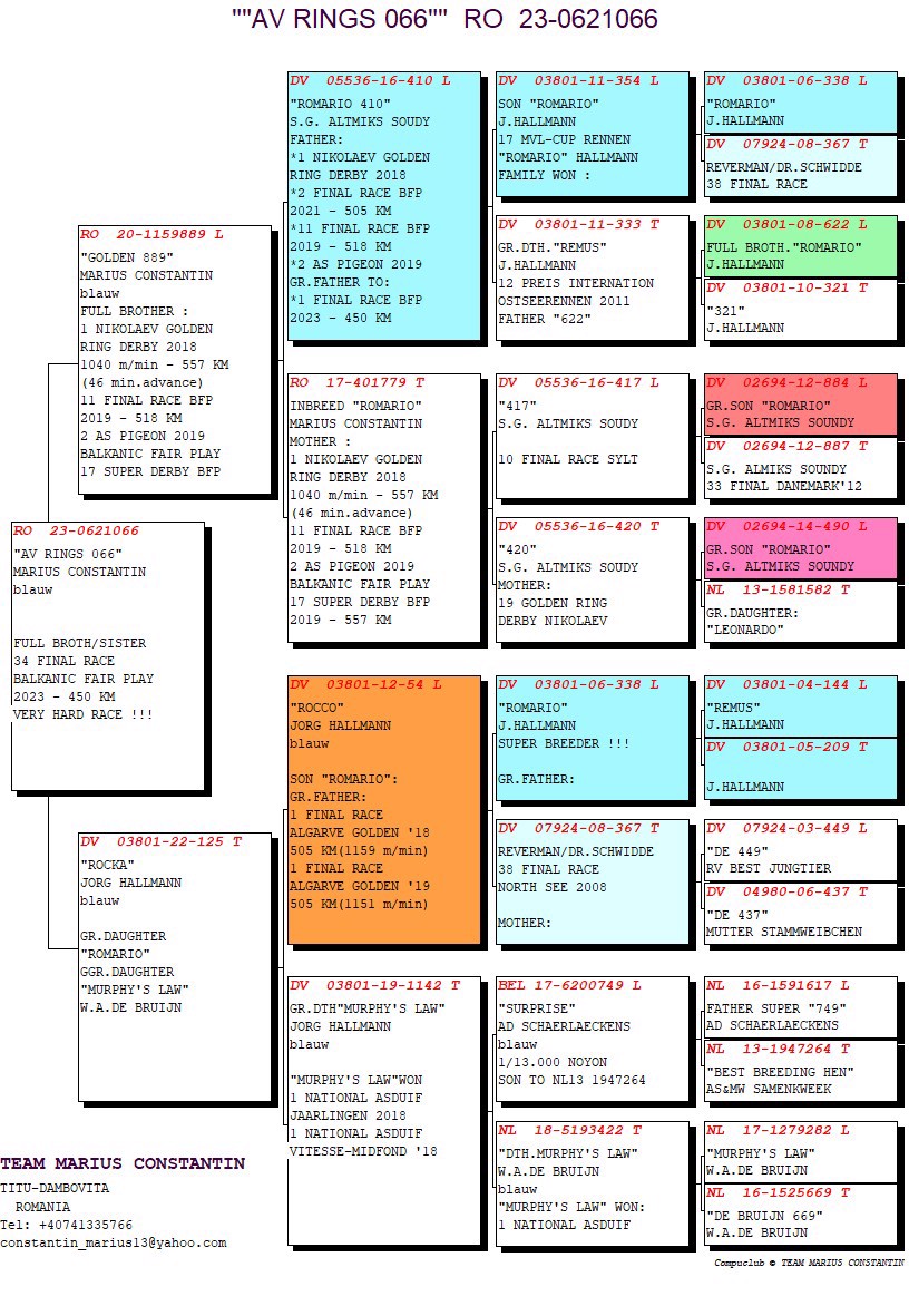 Pigeon pedigree image