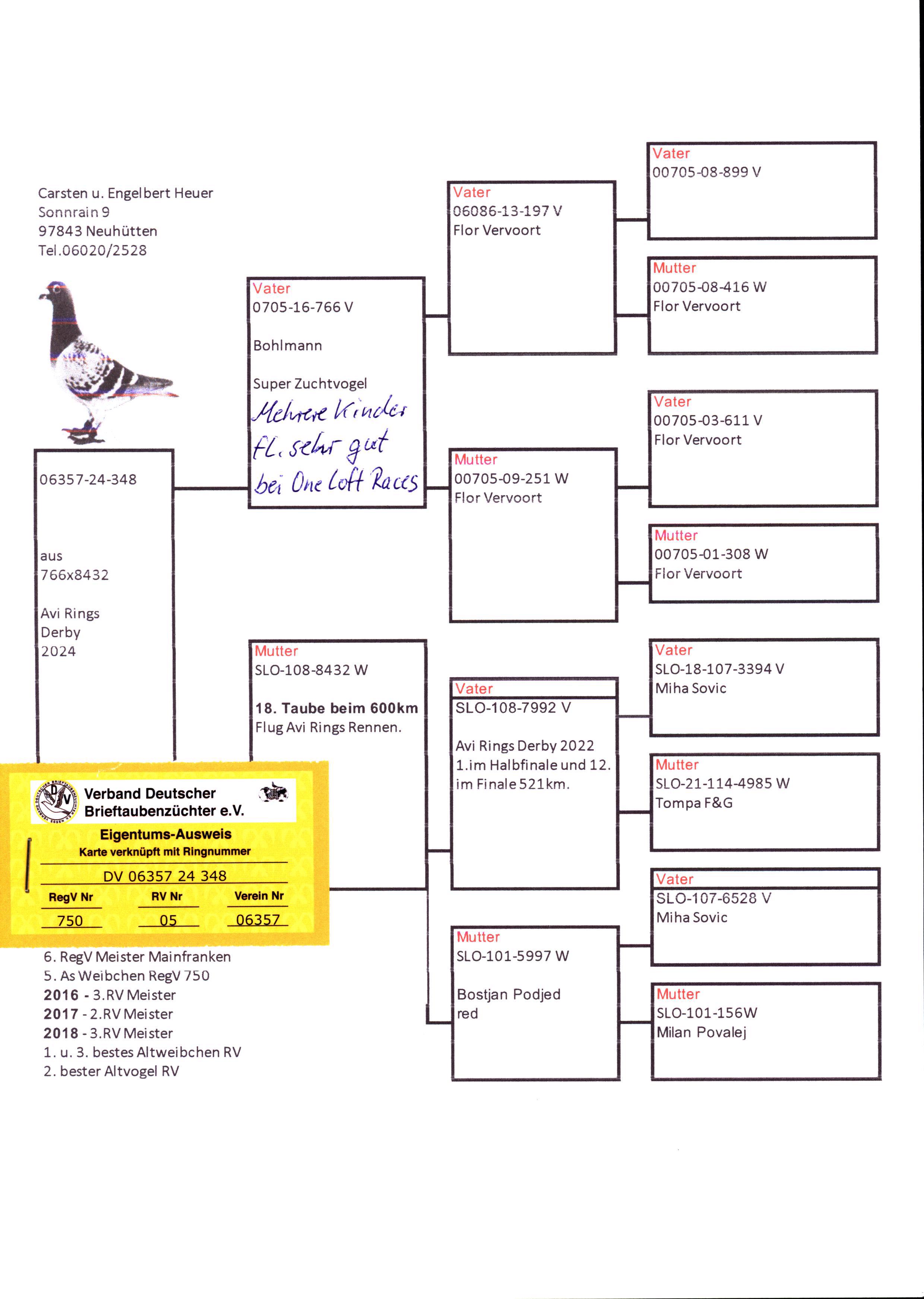 Pigeon pedigree image