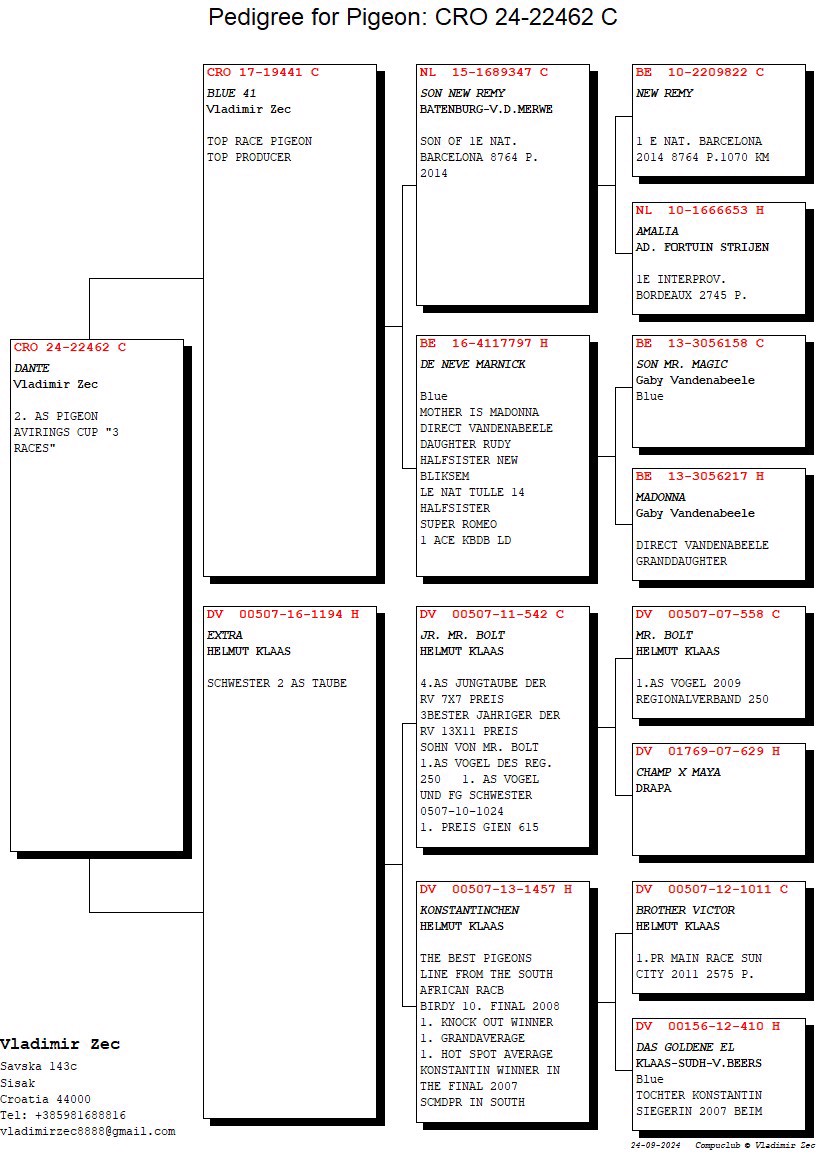 Pigeon pedigree image