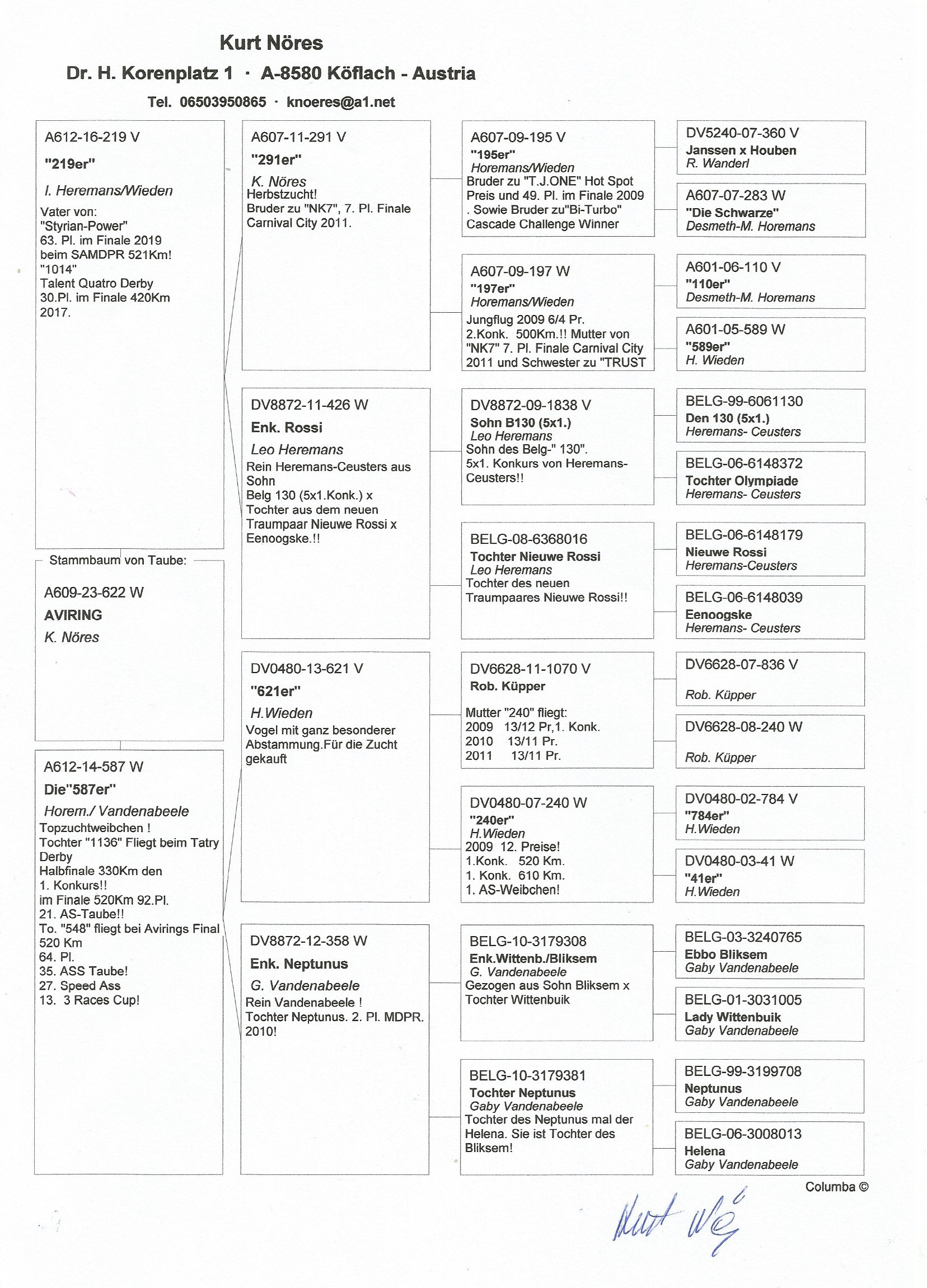 Pigeon pedigree image
