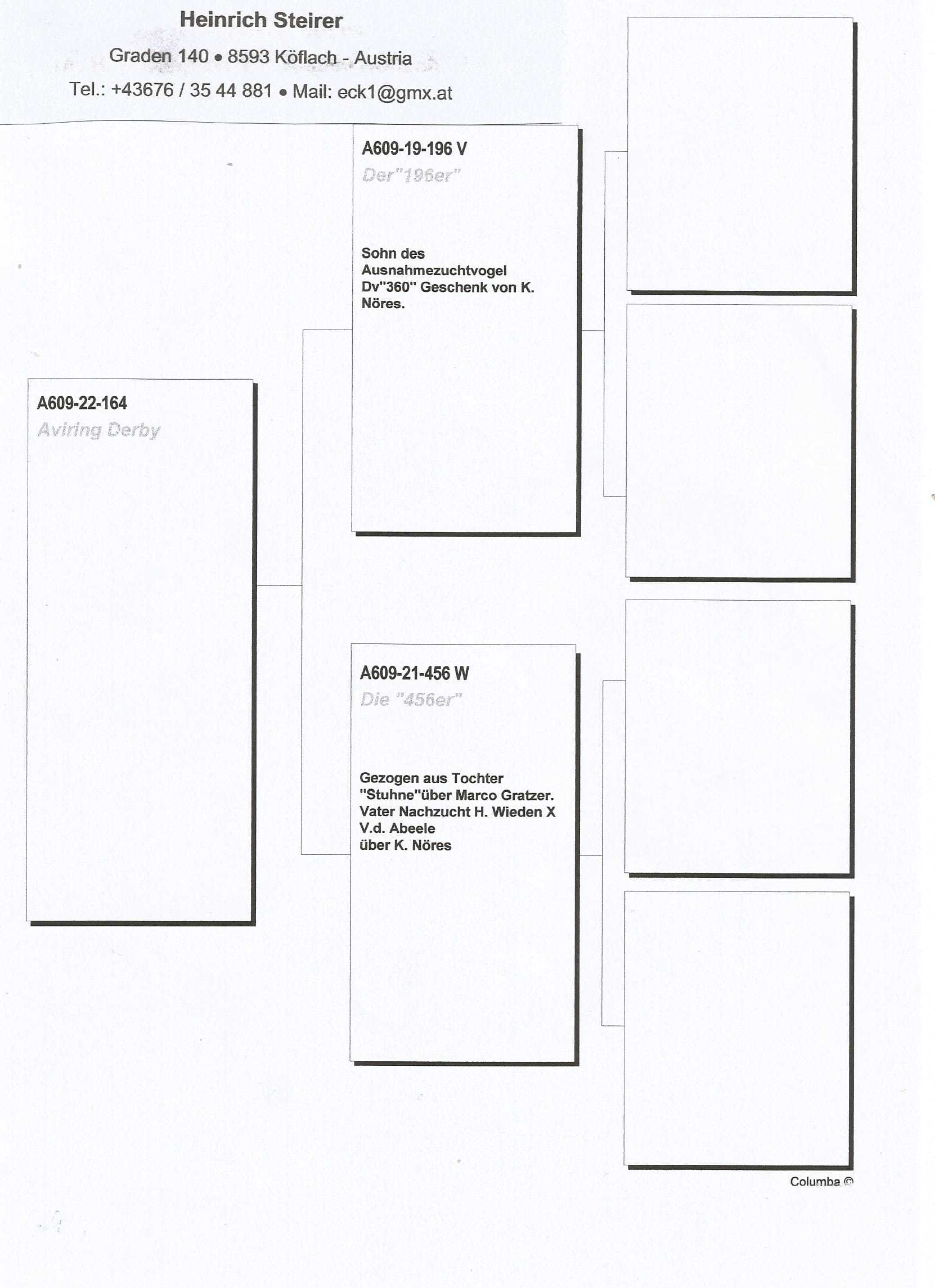 Pigeon pedigree image