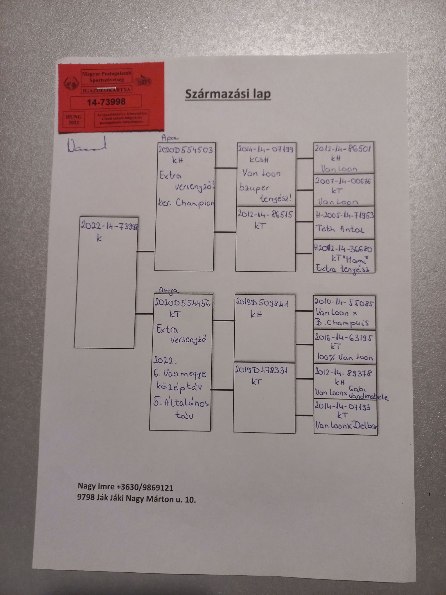 Pigeon pedigree image