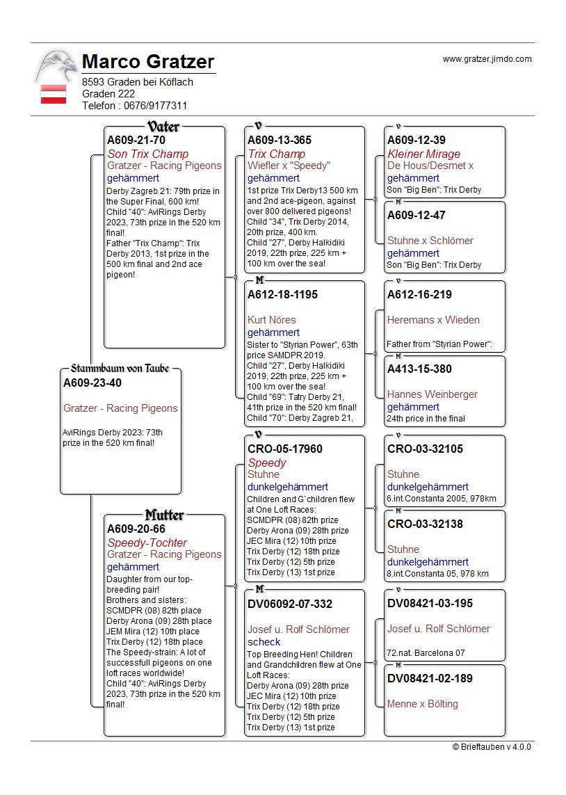 Pigeon pedigree image