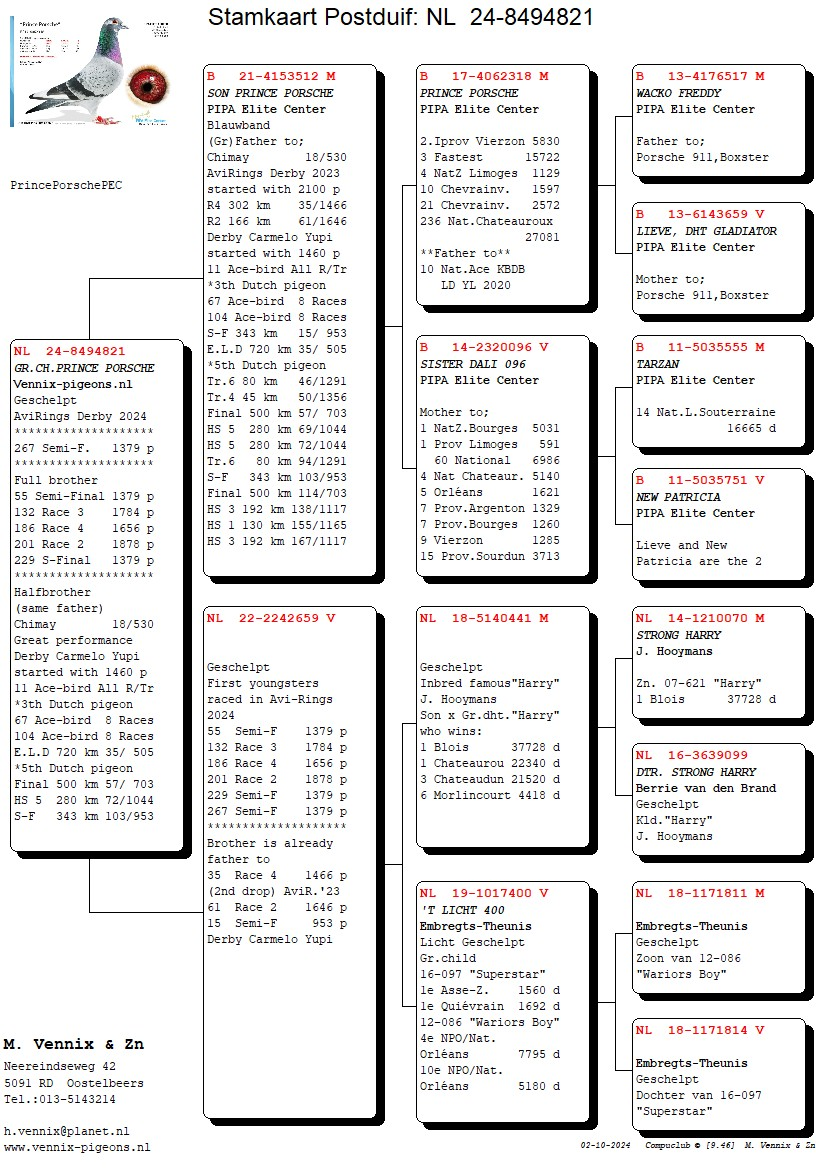 Pigeon pedigree image