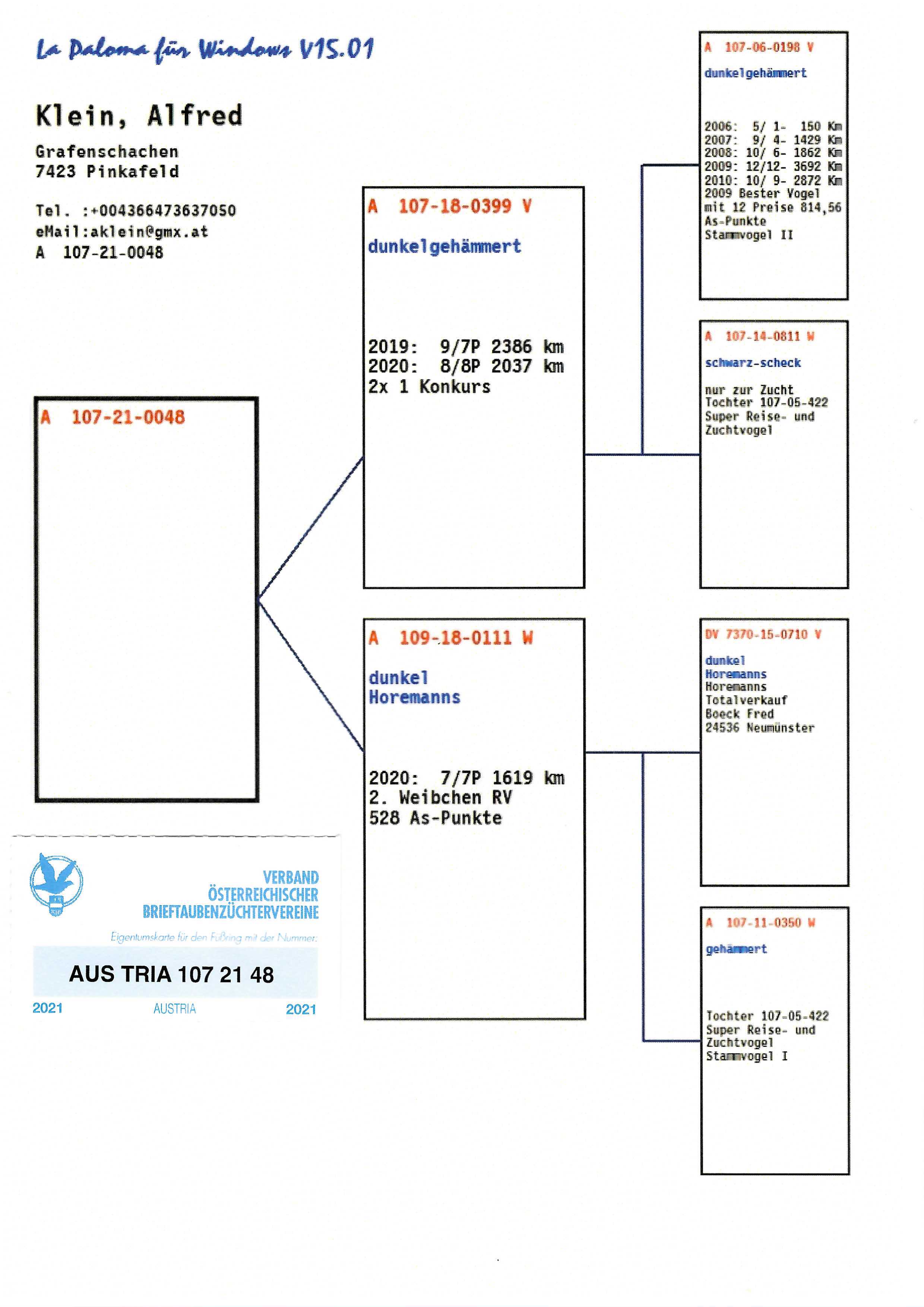 Pigeon pedigree image