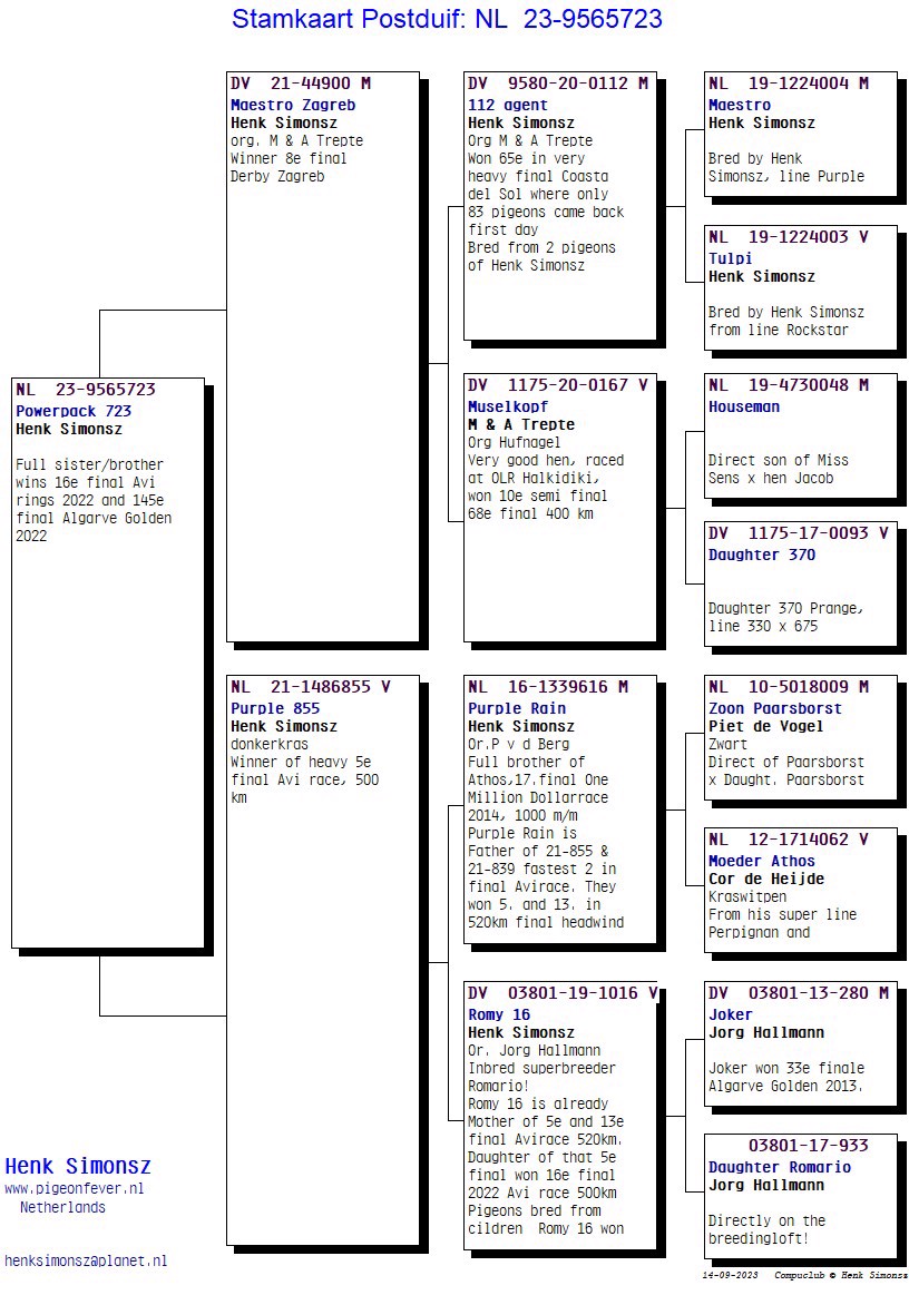 Pigeon pedigree image