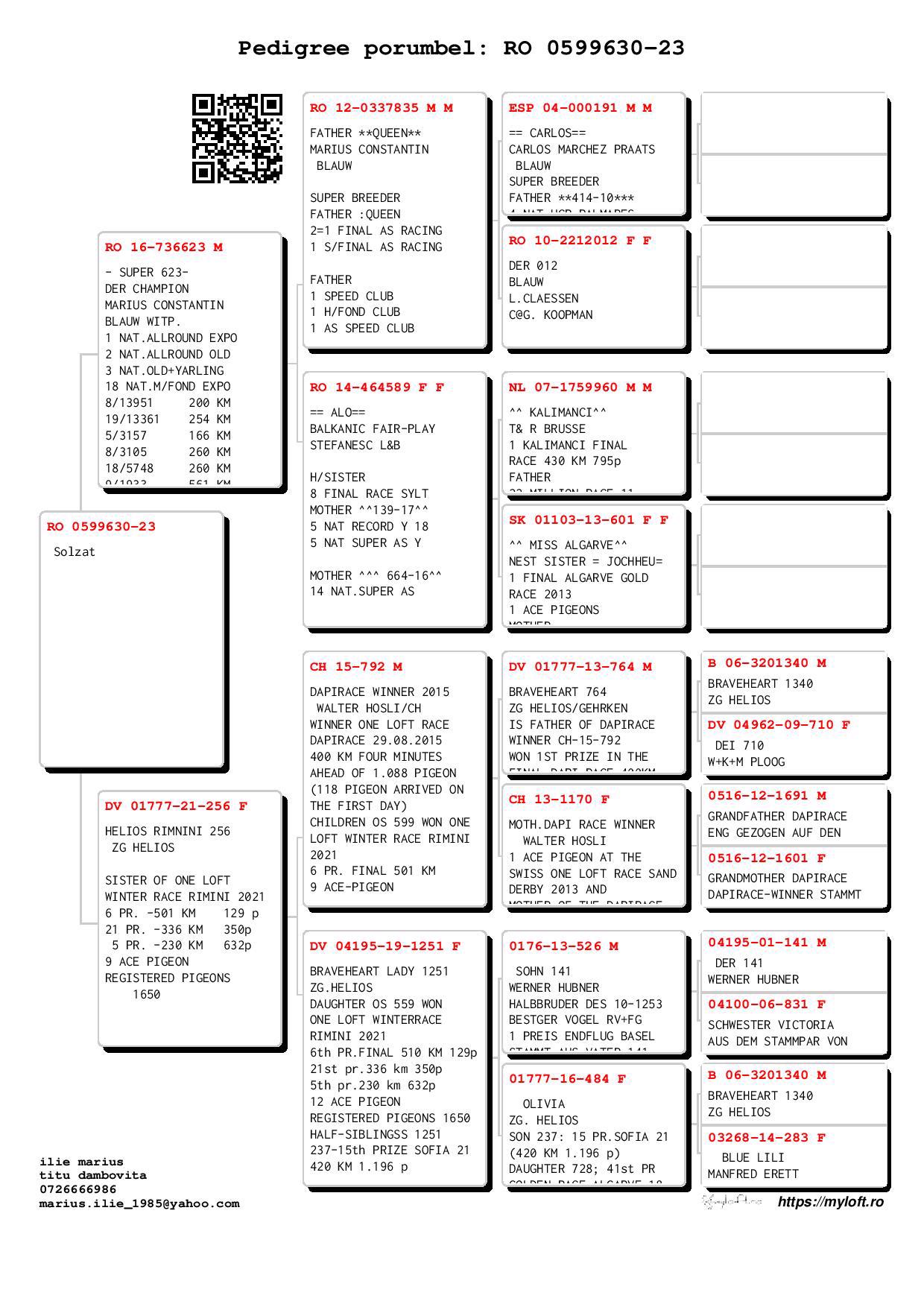 Pigeon pedigree image