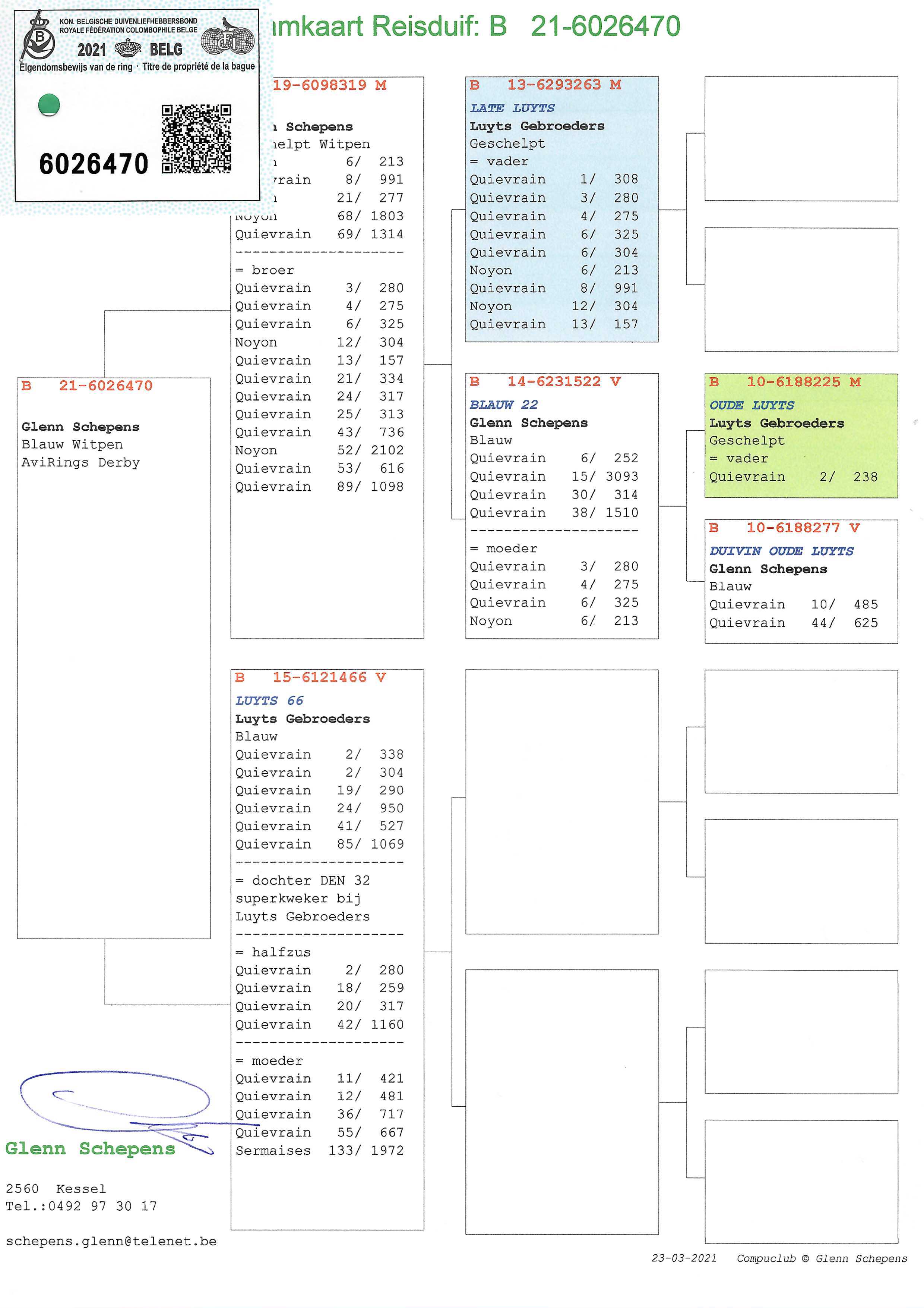 Pigeon pedigree image