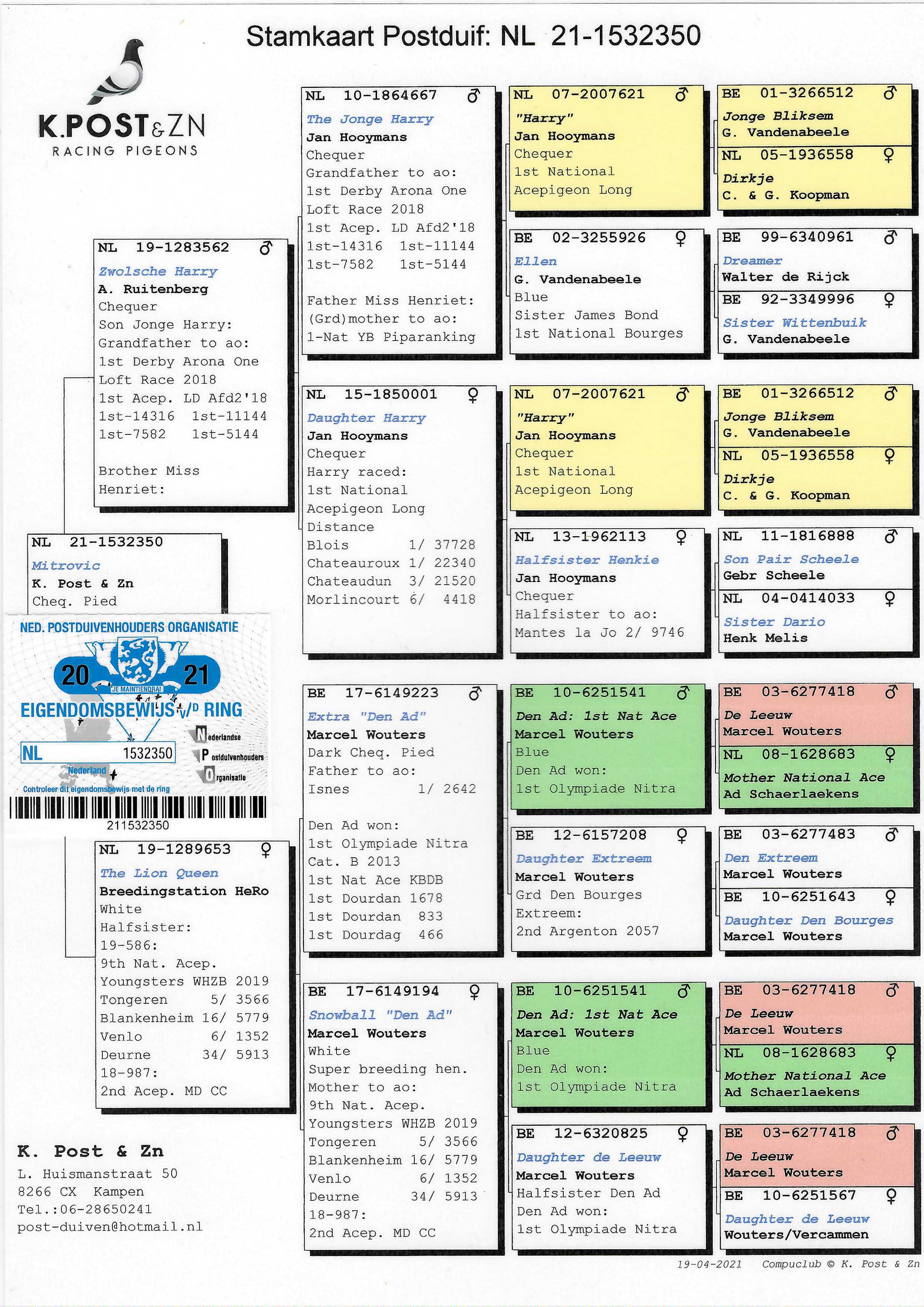 Pigeon pedigree image