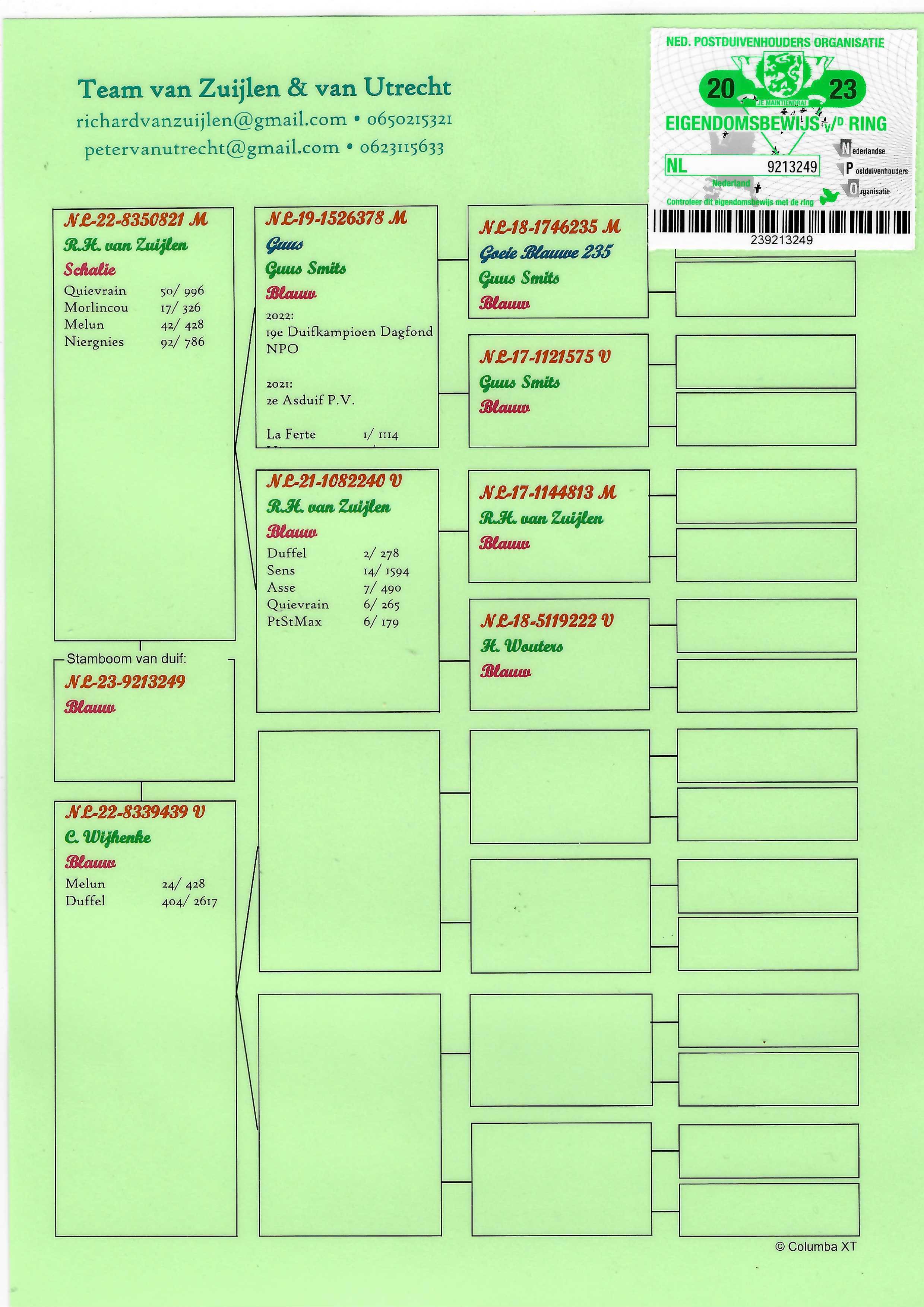 Pigeon pedigree image