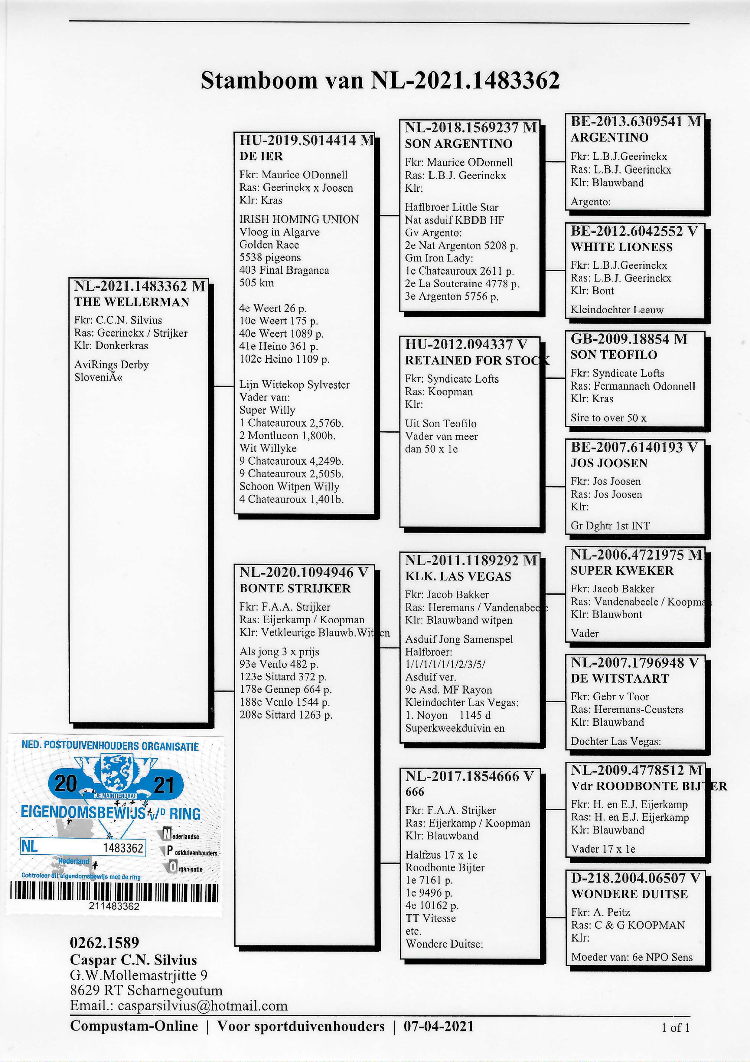 Pigeon pedigree image