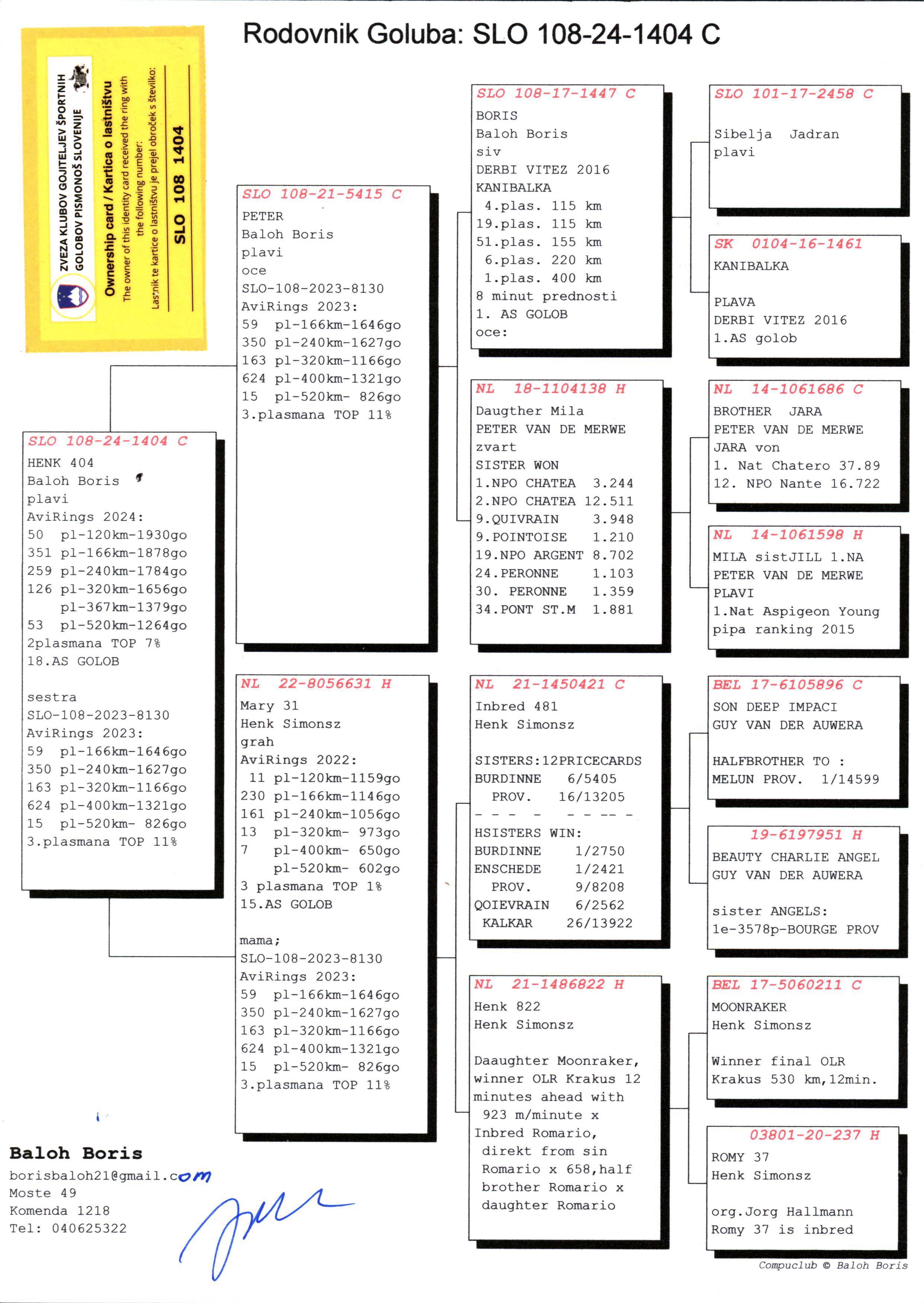 Pigeon pedigree image