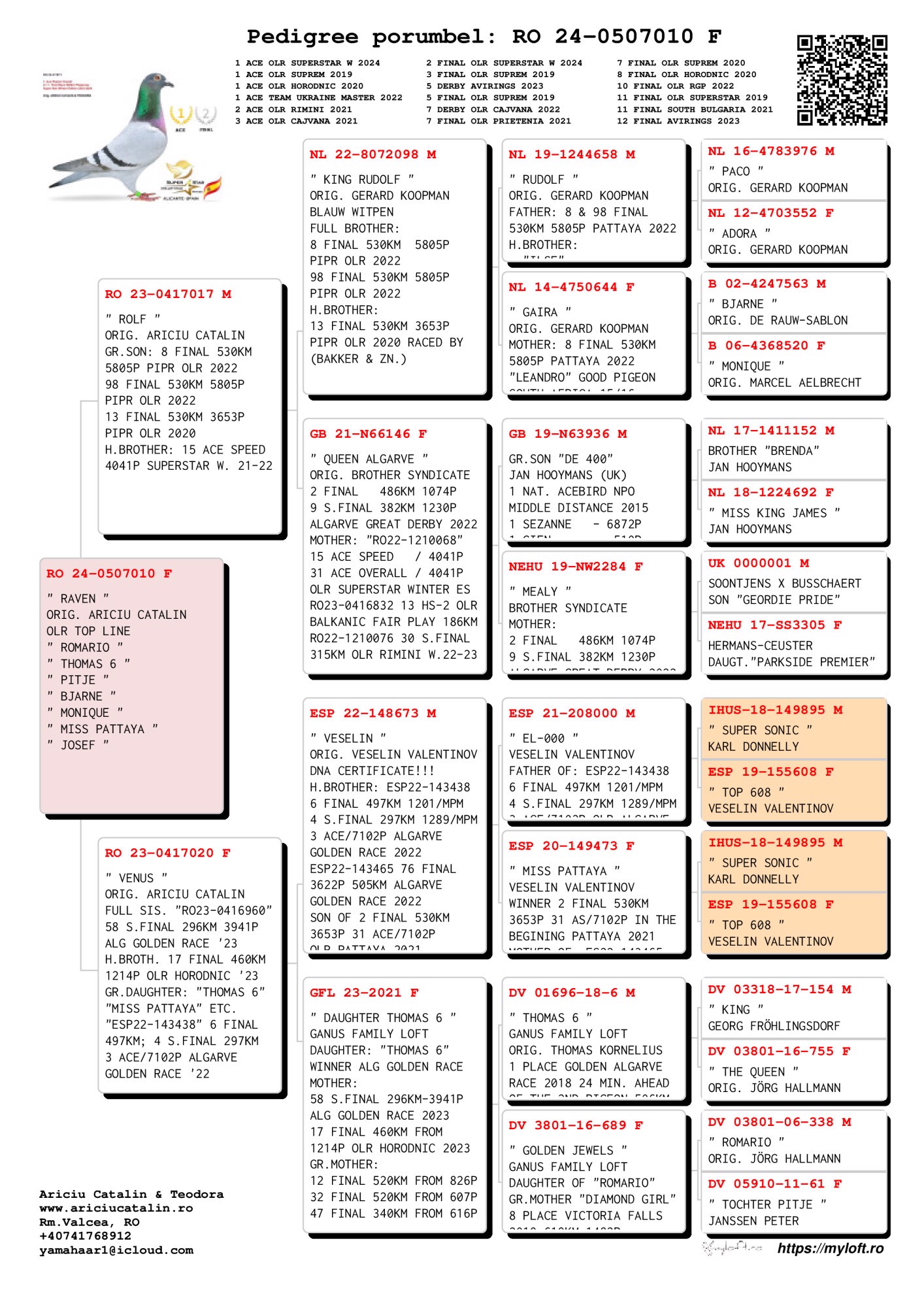 Pigeon pedigree image