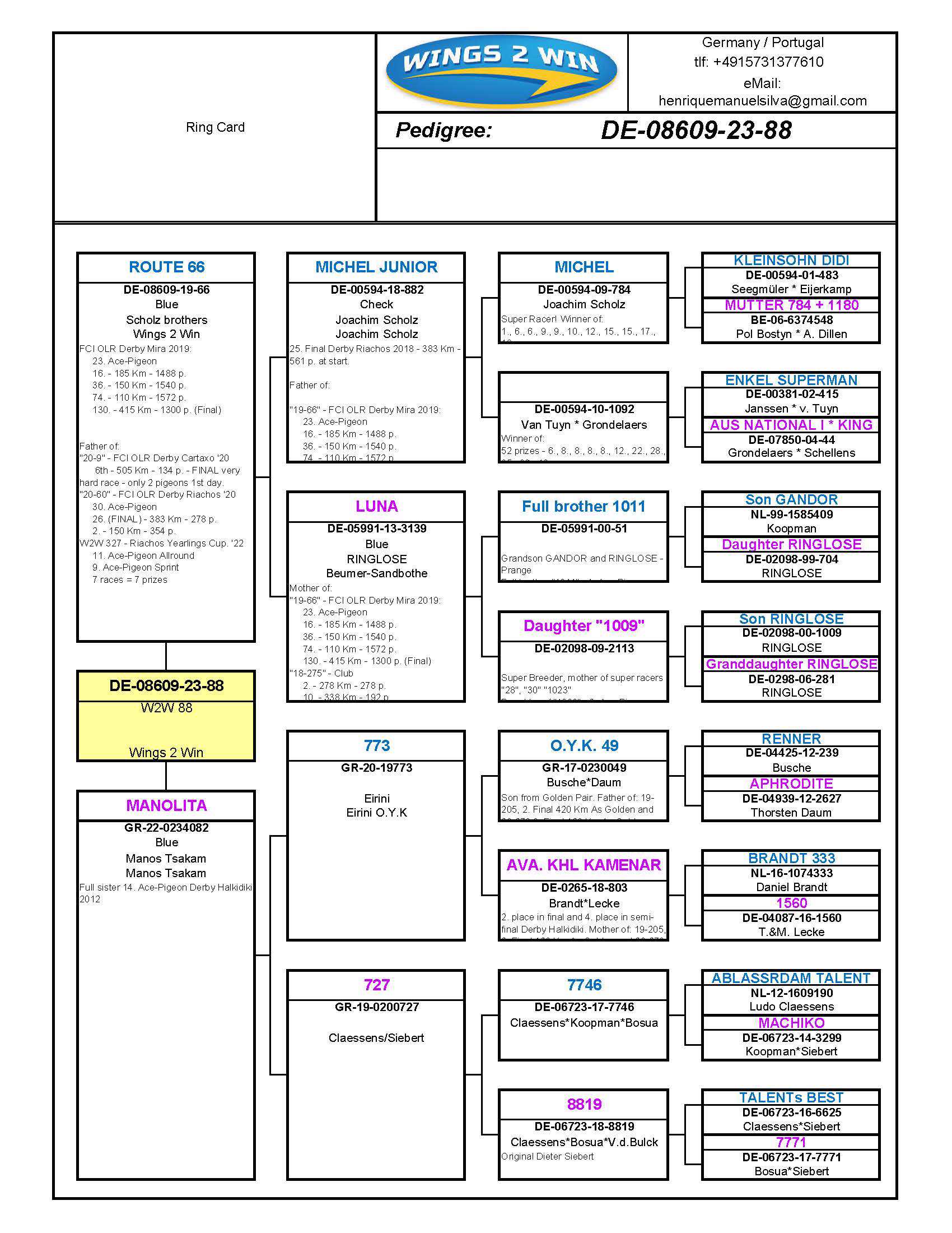 Pigeon pedigree image
