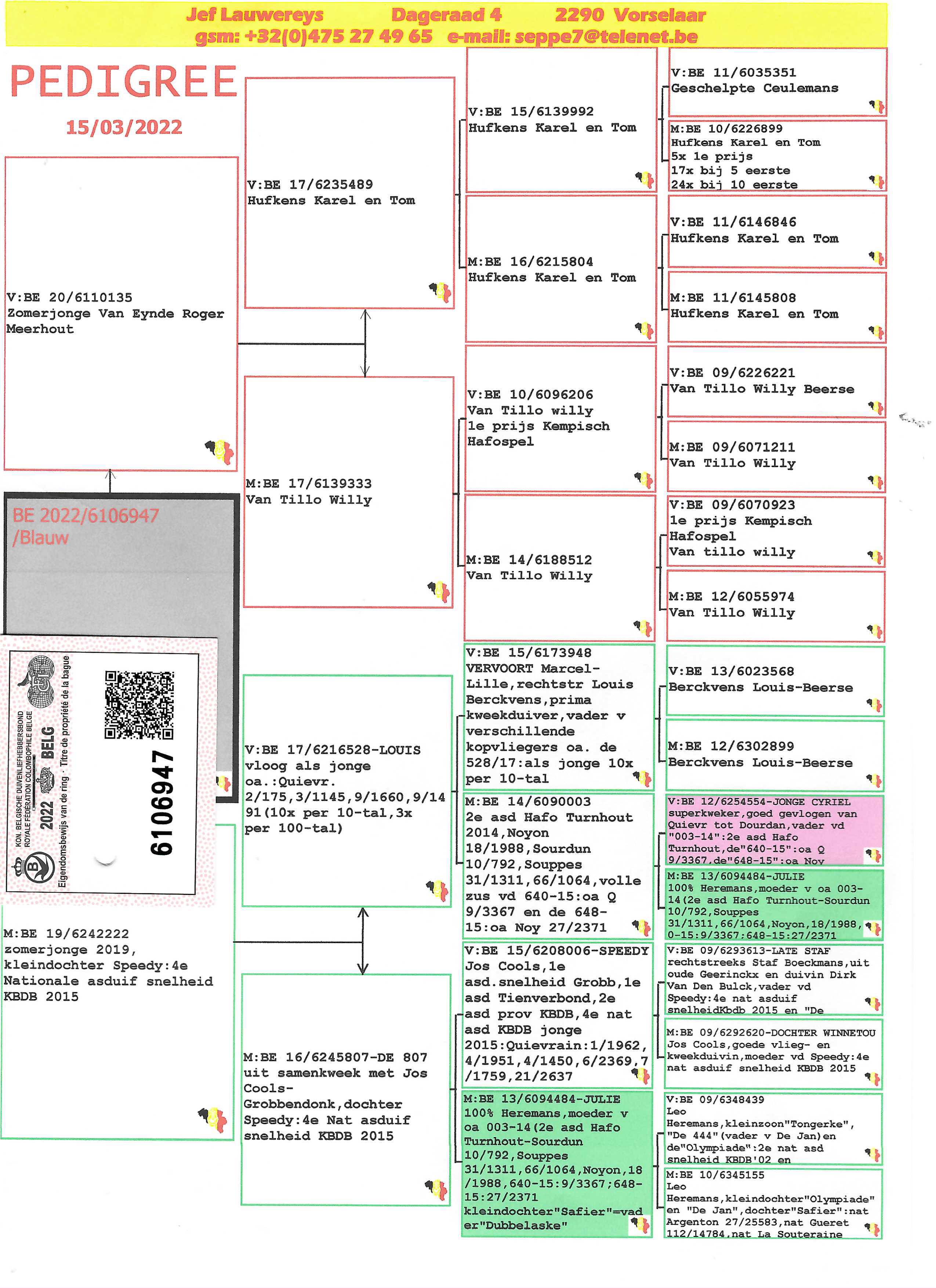 Pigeon pedigree image