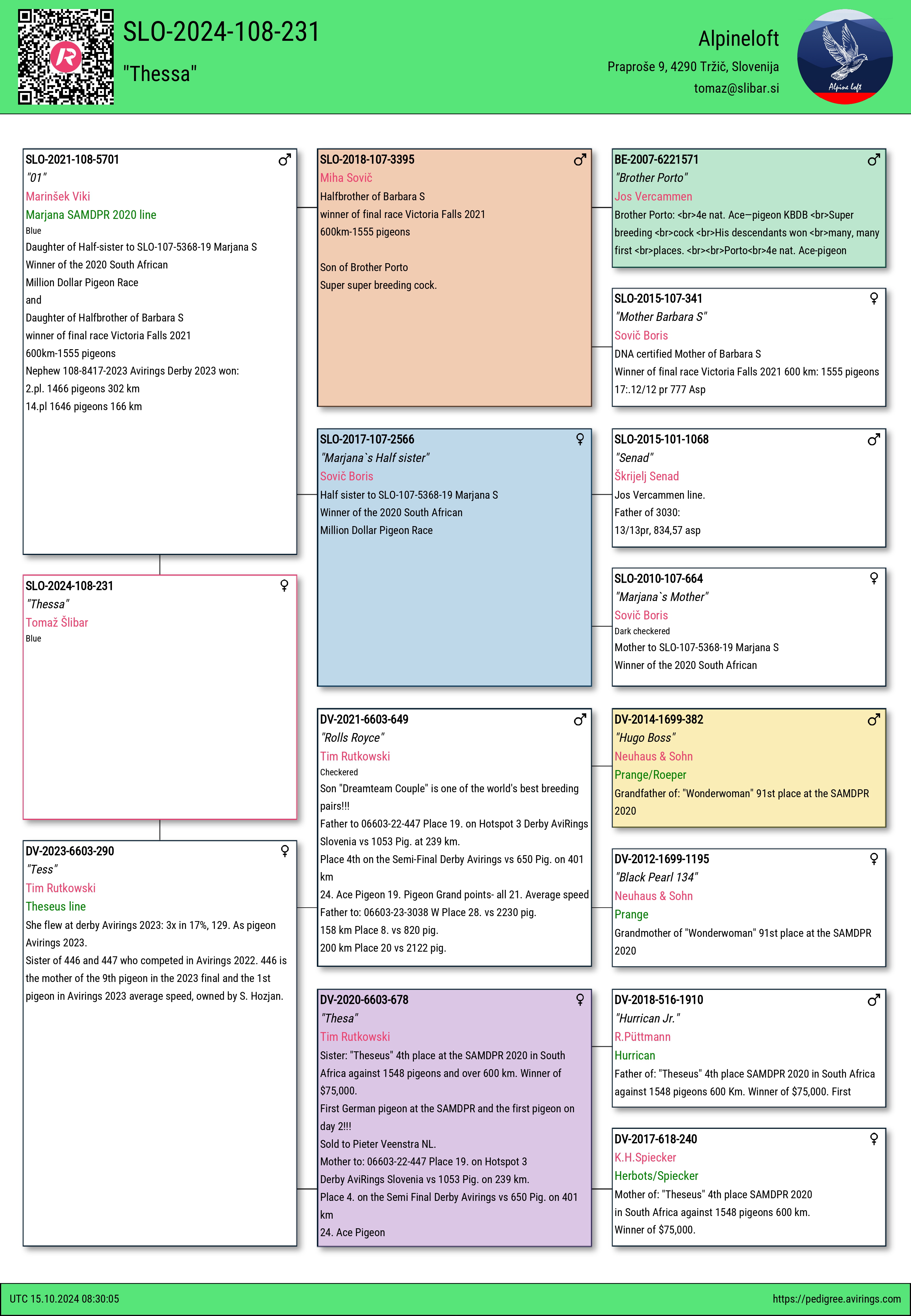 Pigeon pedigree image