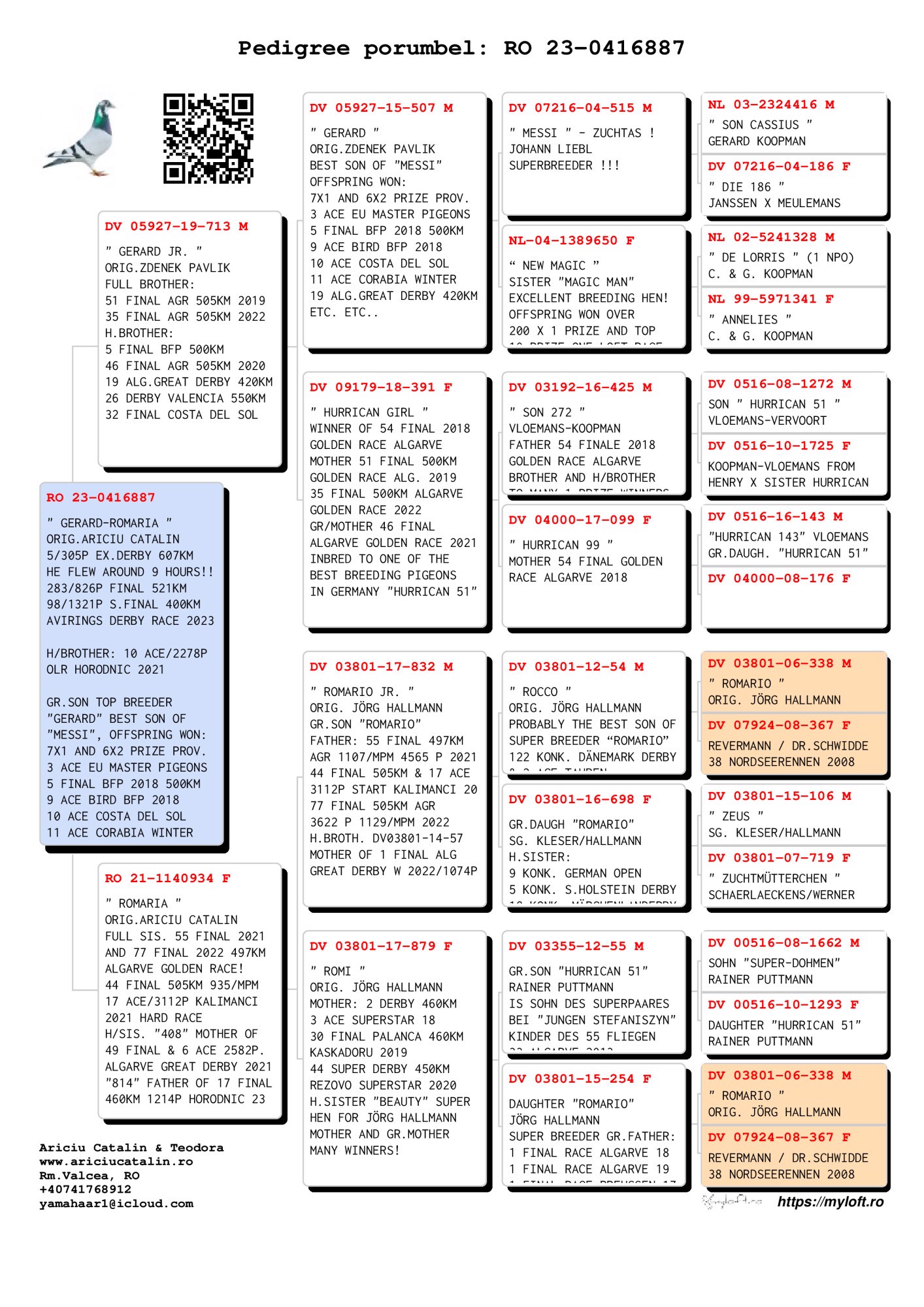 Pigeon pedigree image
