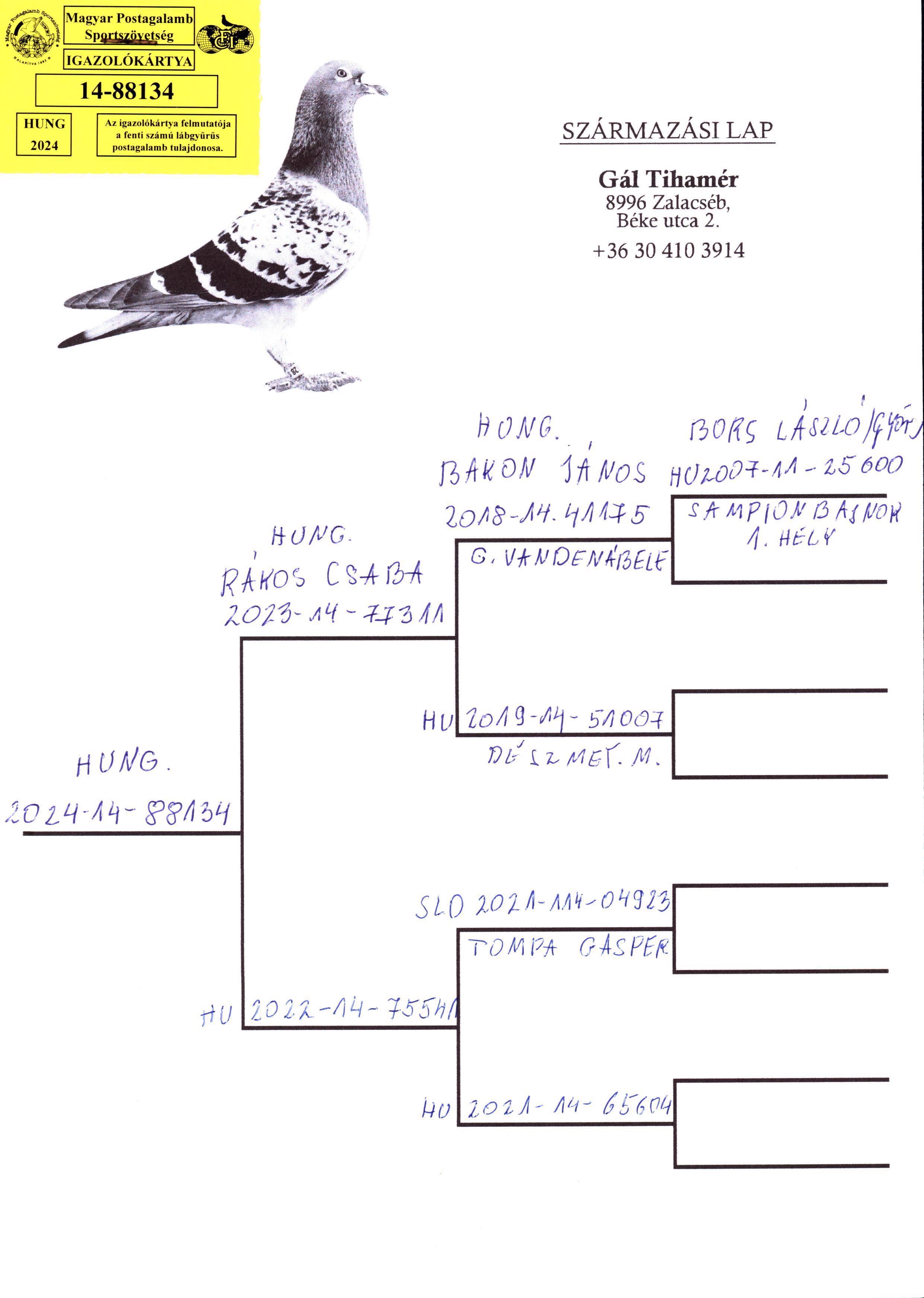 Pigeon pedigree image