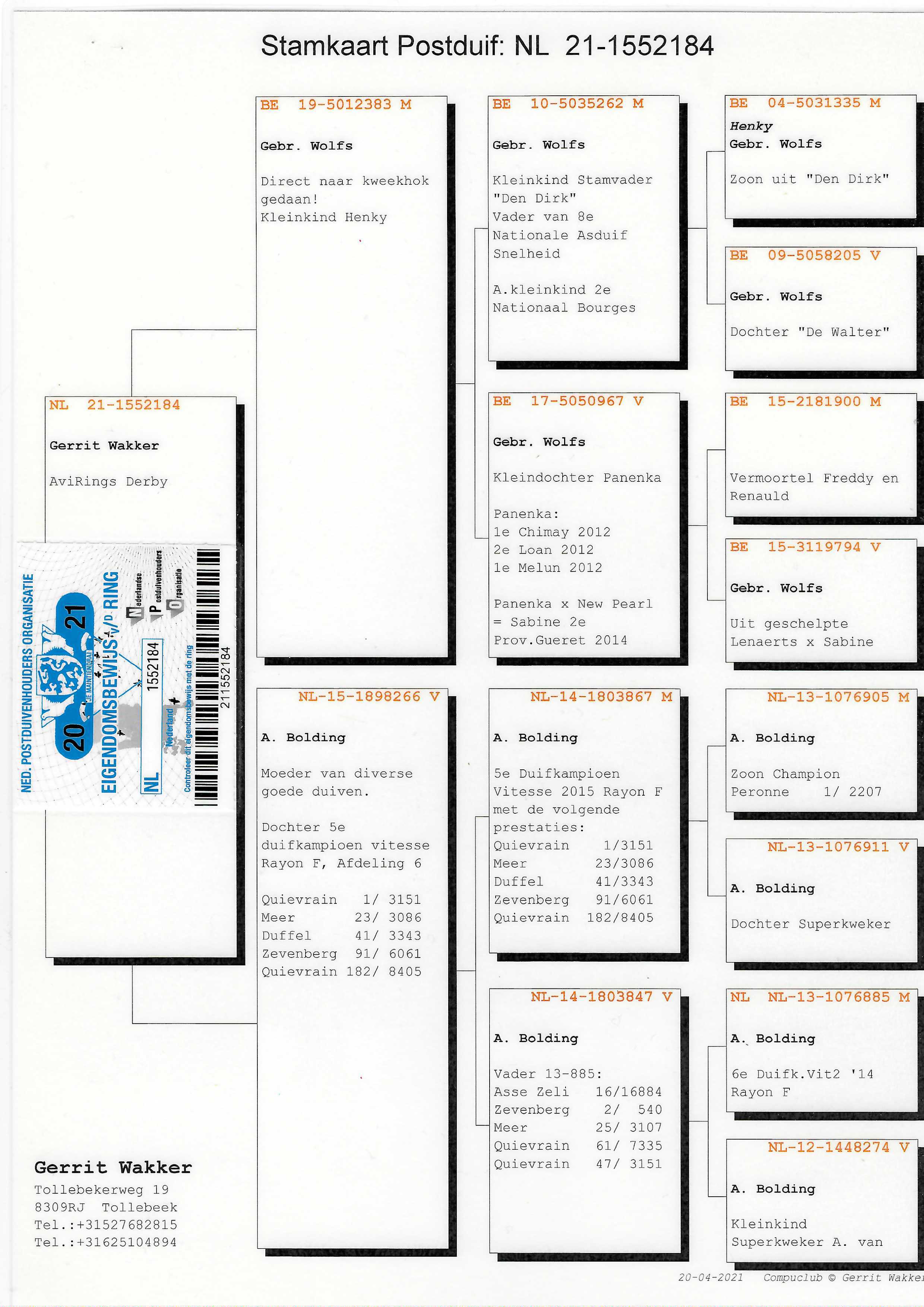 Pigeon pedigree image