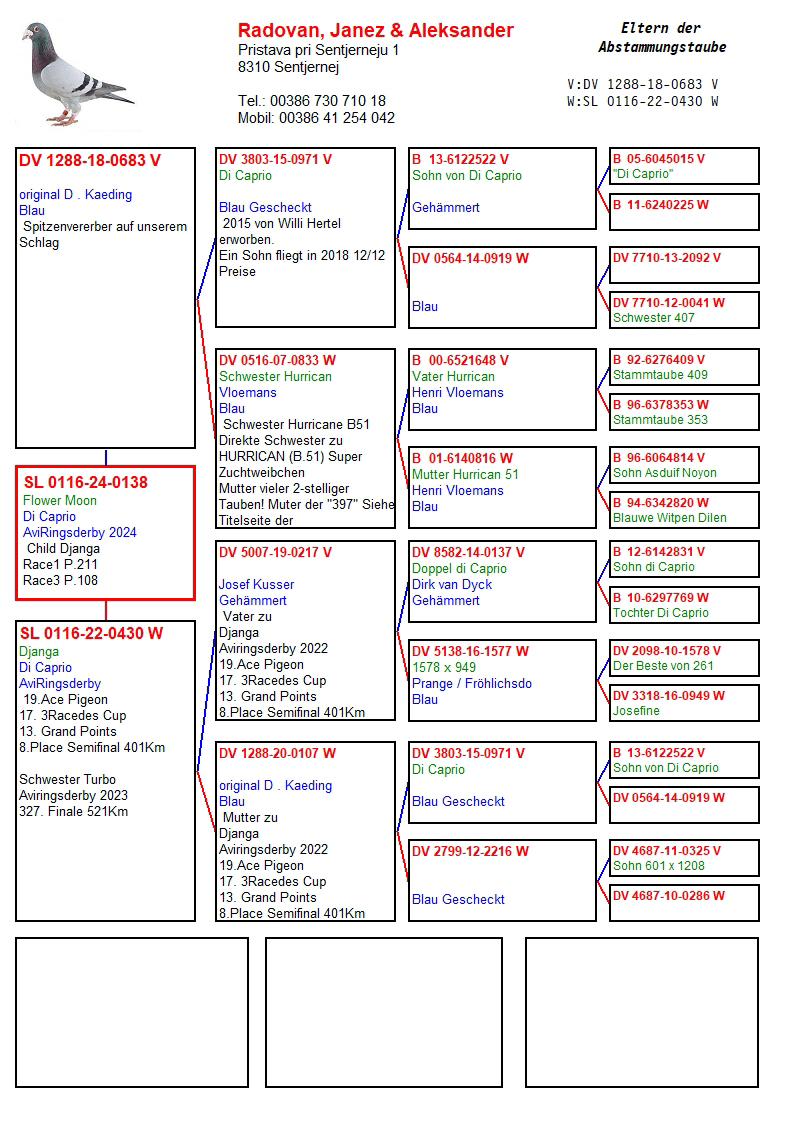 Pigeon pedigree image