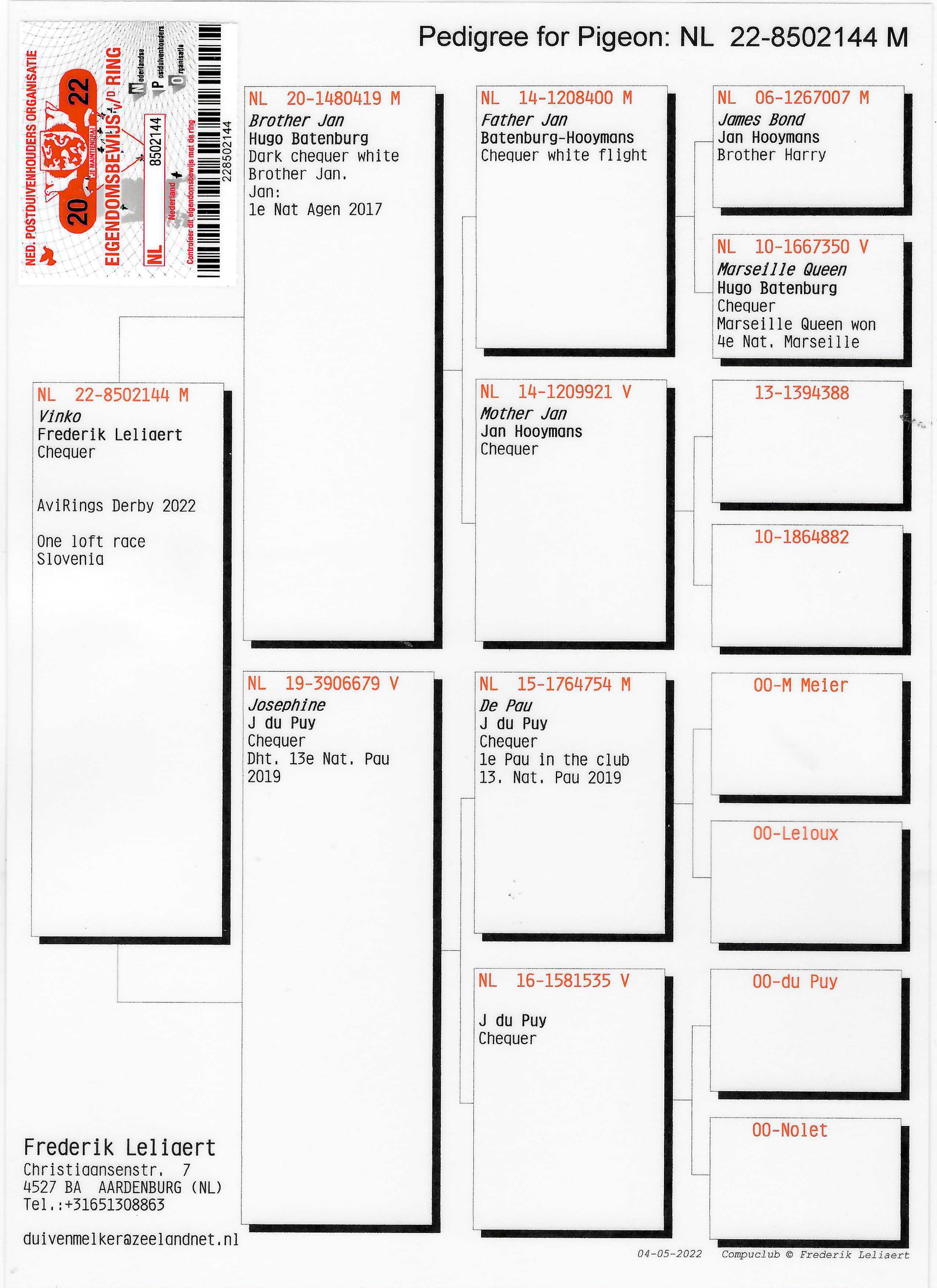 Pigeon pedigree image
