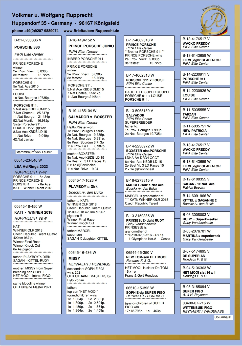 Pigeon pedigree image