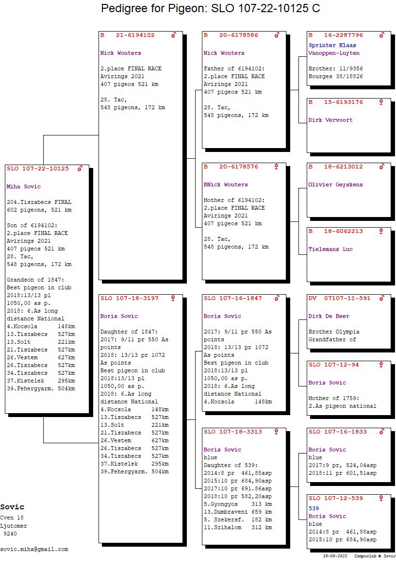 Pigeon pedigree image