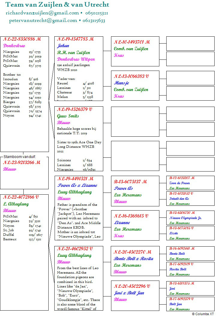 Pigeon pedigree image