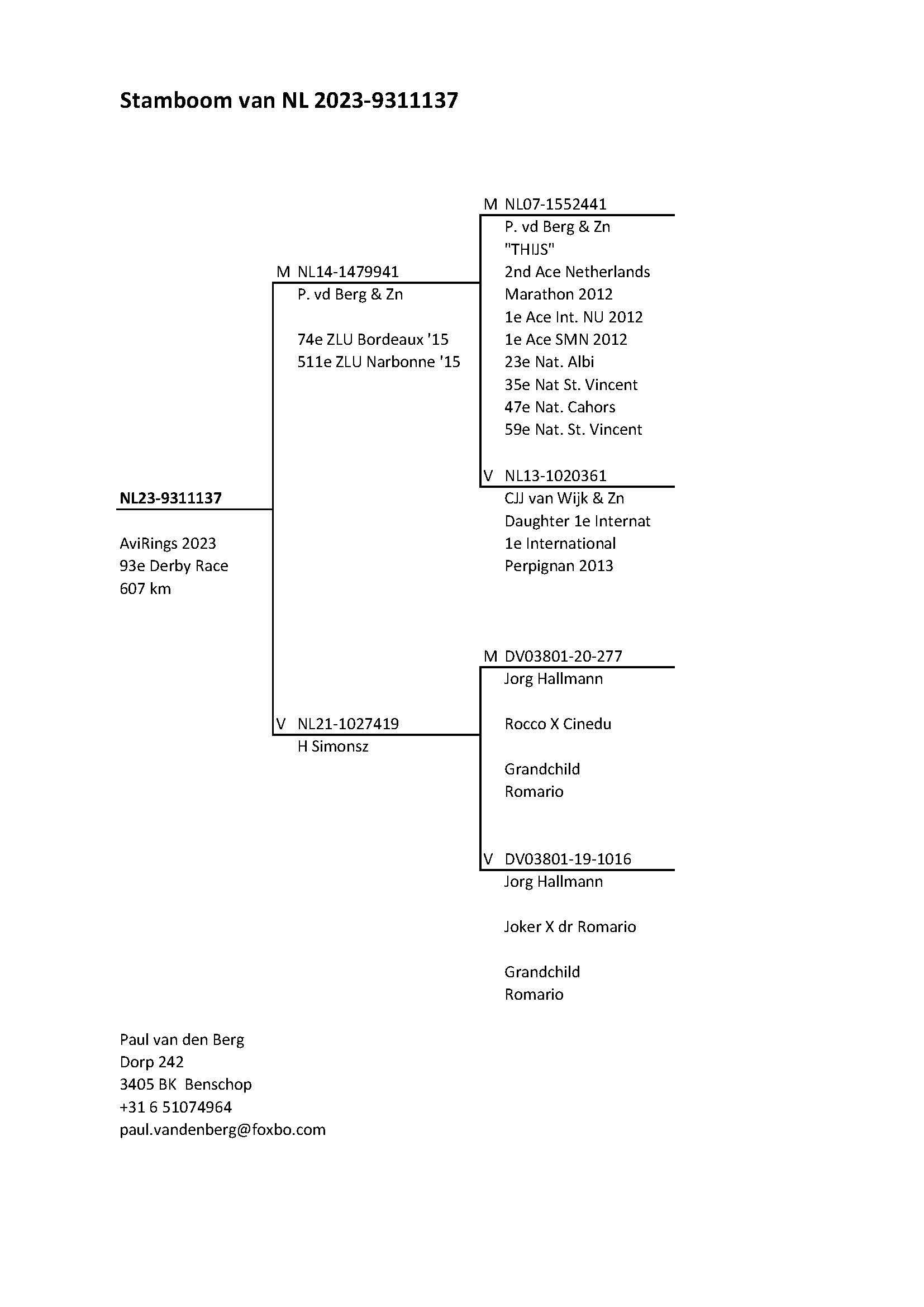 Pigeon pedigree image