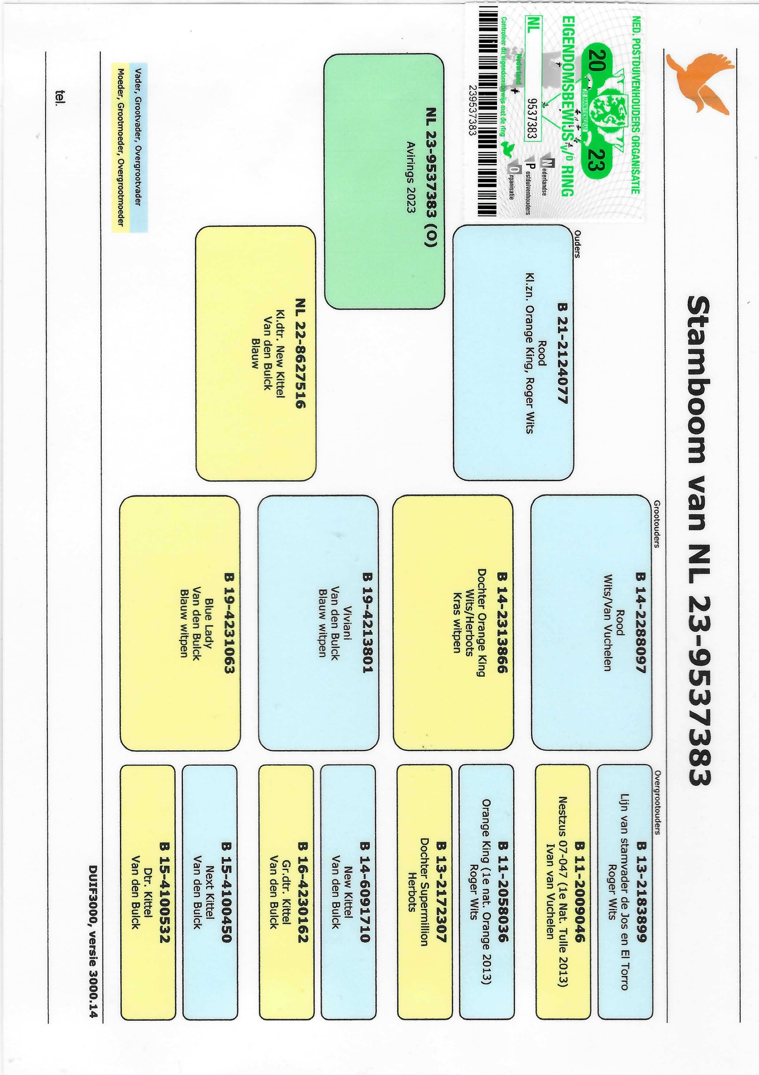 Pigeon pedigree image