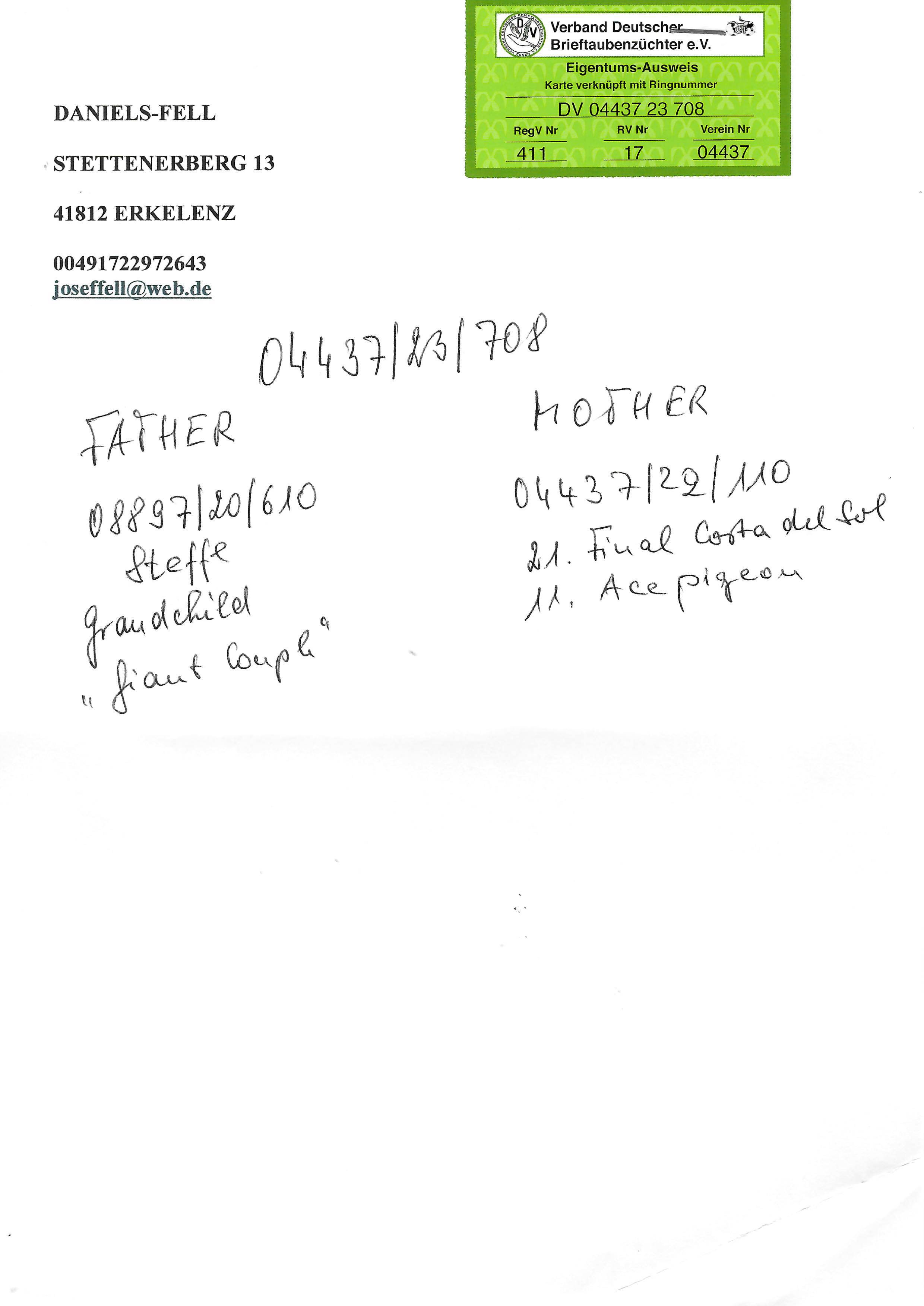 Pigeon pedigree image