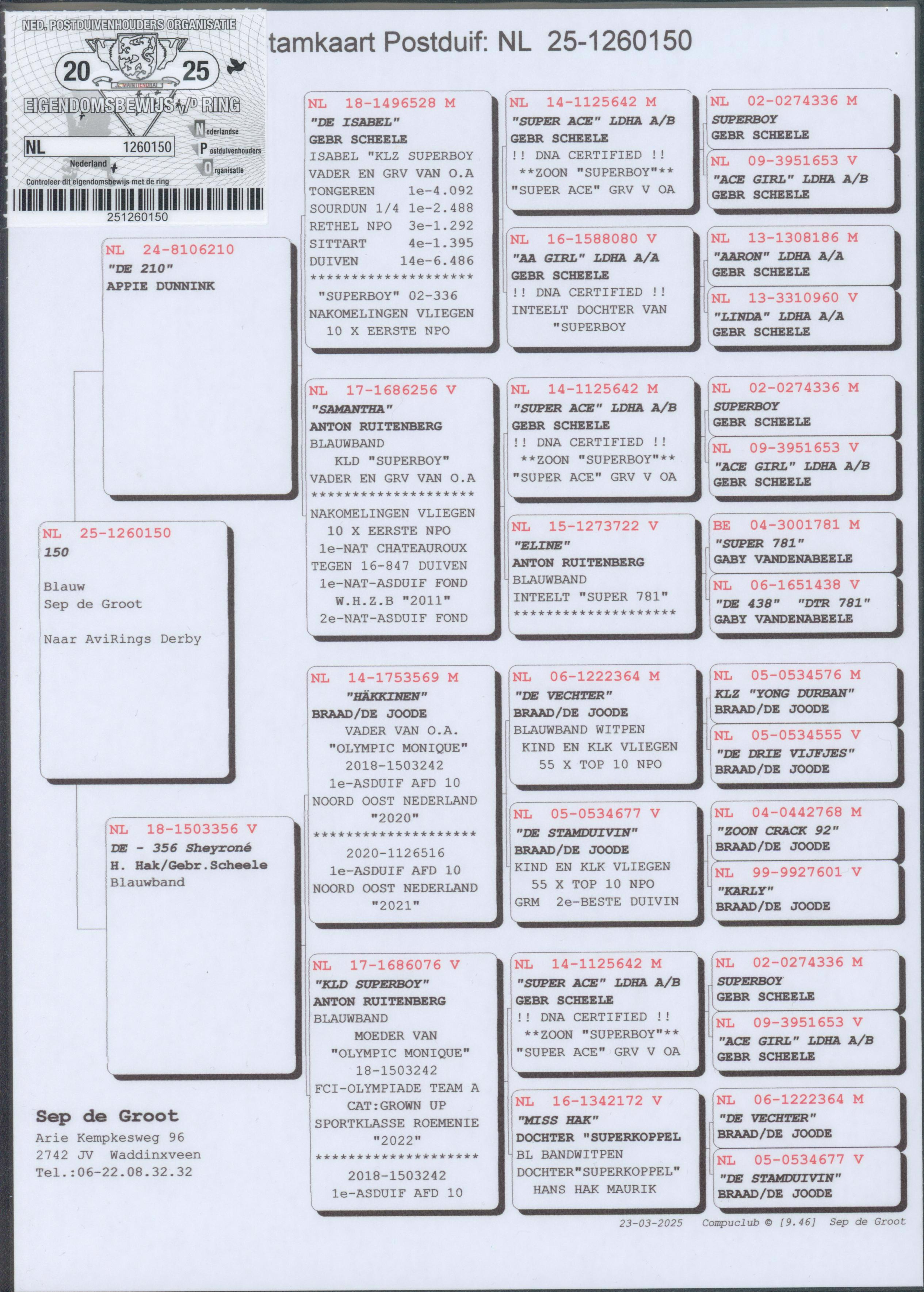 Pigeon pedigree image