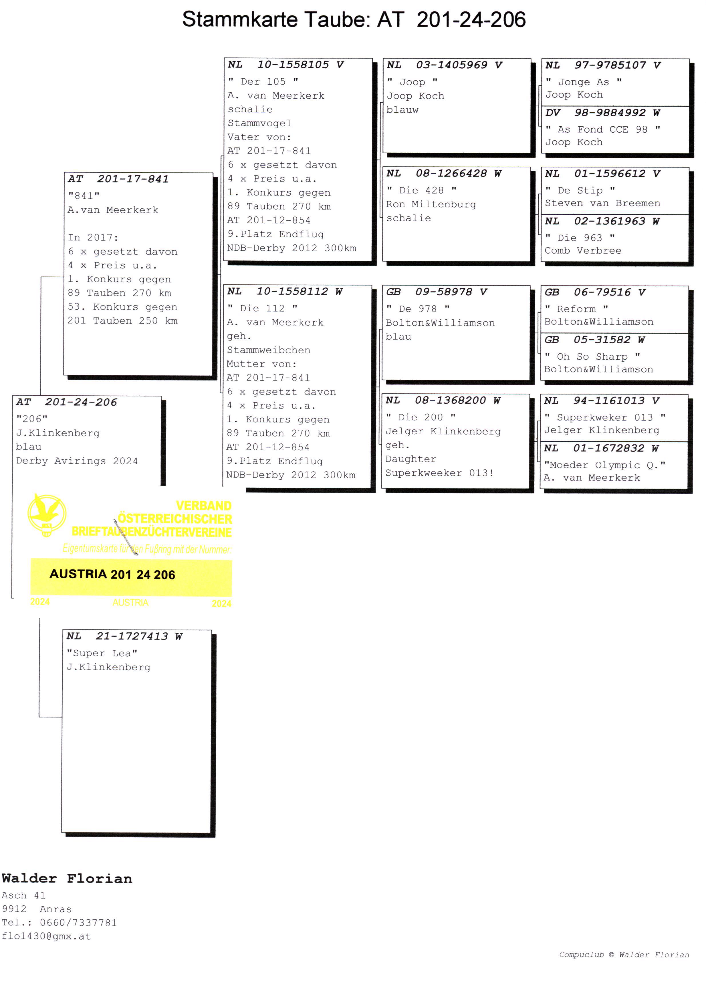Pigeon pedigree image