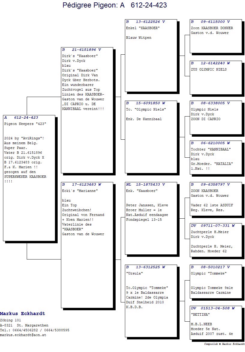 Pigeon pedigree image