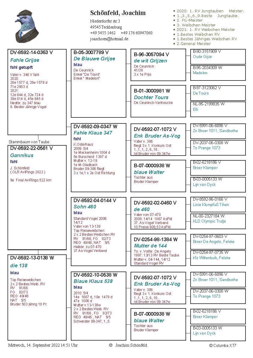 Pigeon pedigree image