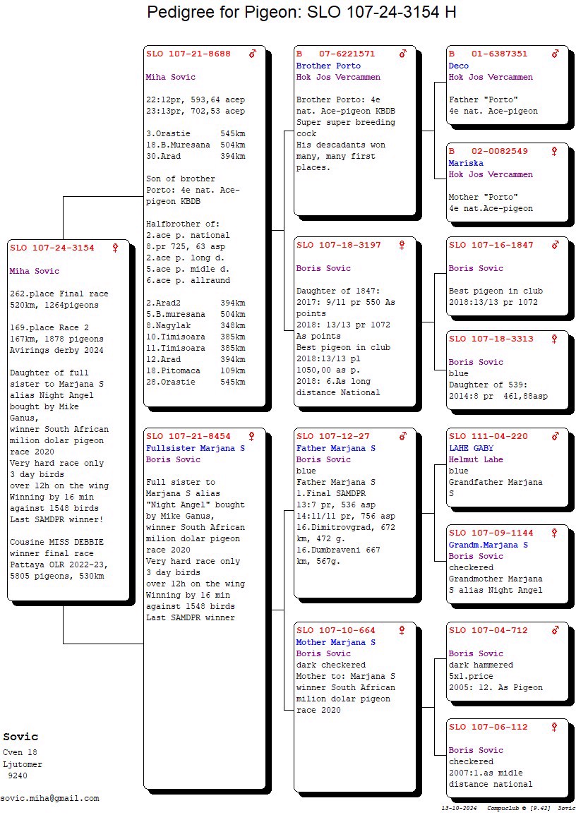 Pigeon pedigree image