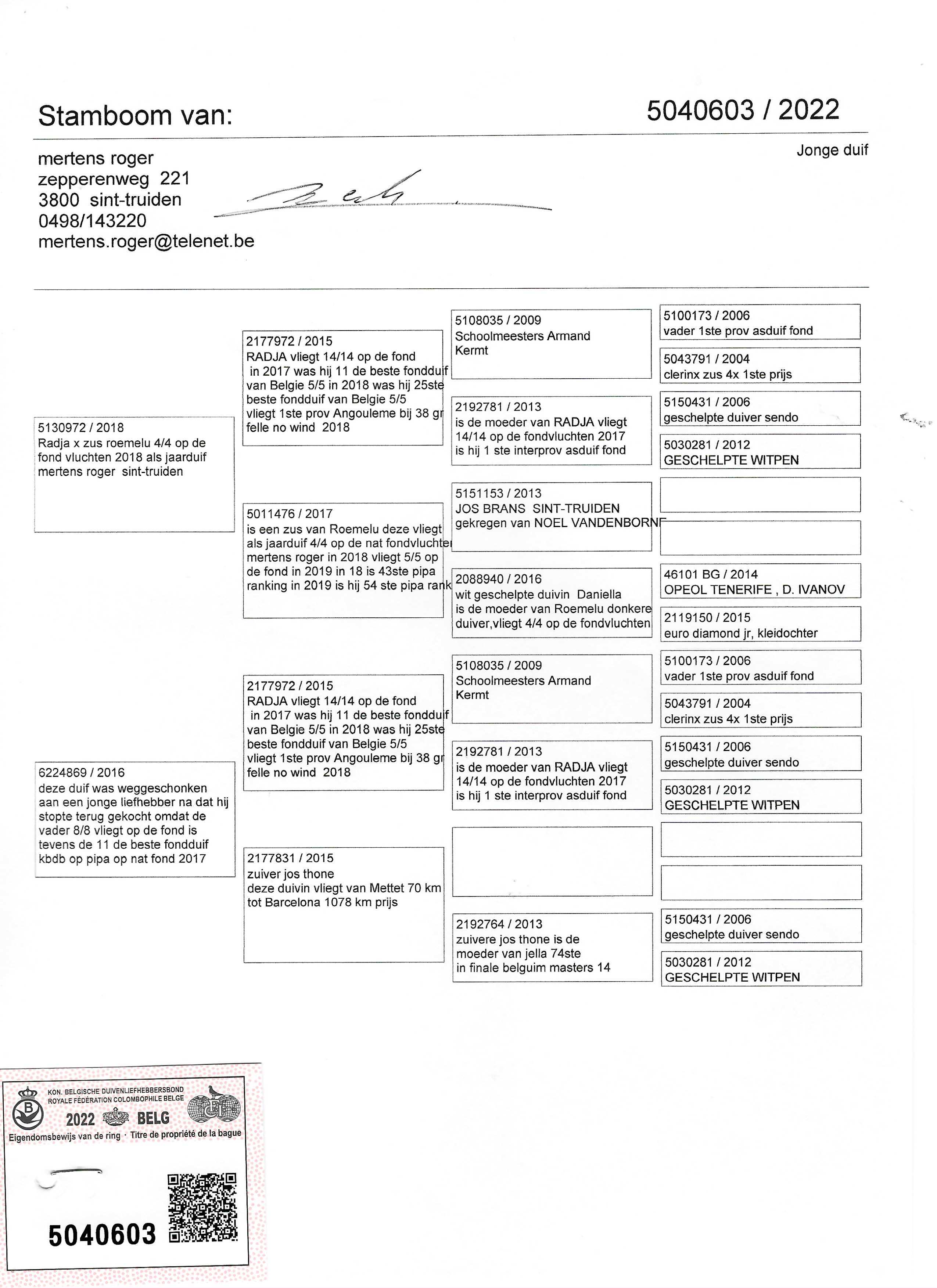 Pigeon pedigree image