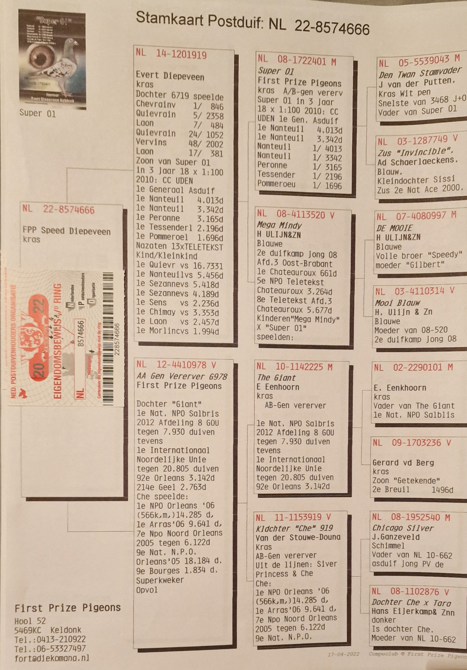 Pigeon pedigree image
