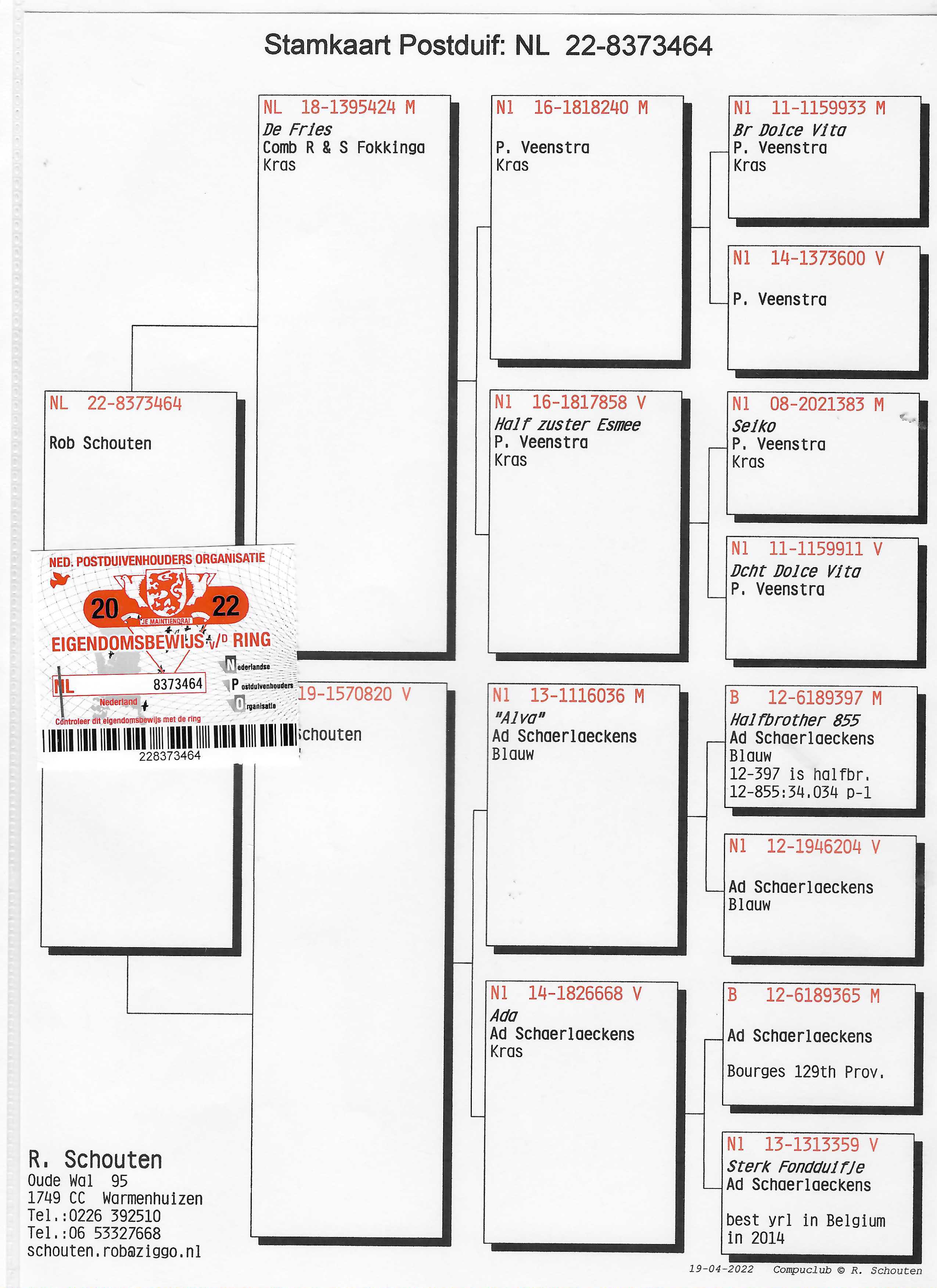 Pigeon pedigree image