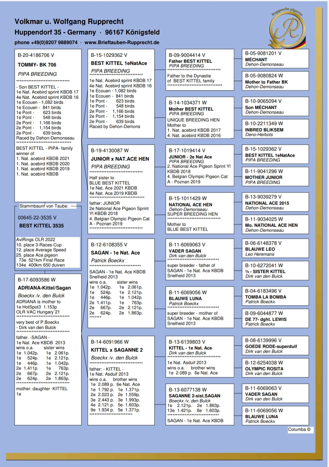 Pigeon pedigree image