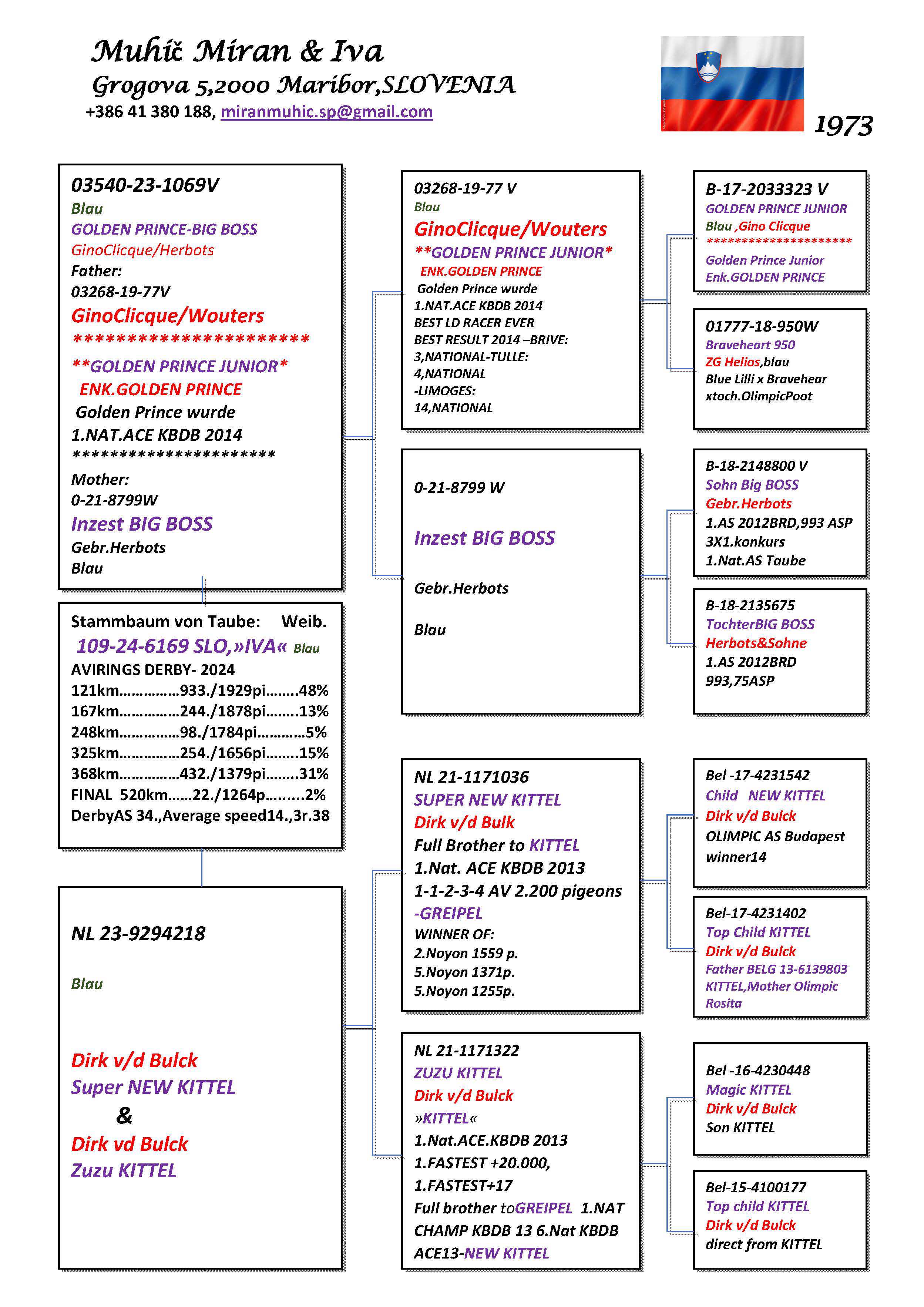 Pigeon pedigree image
