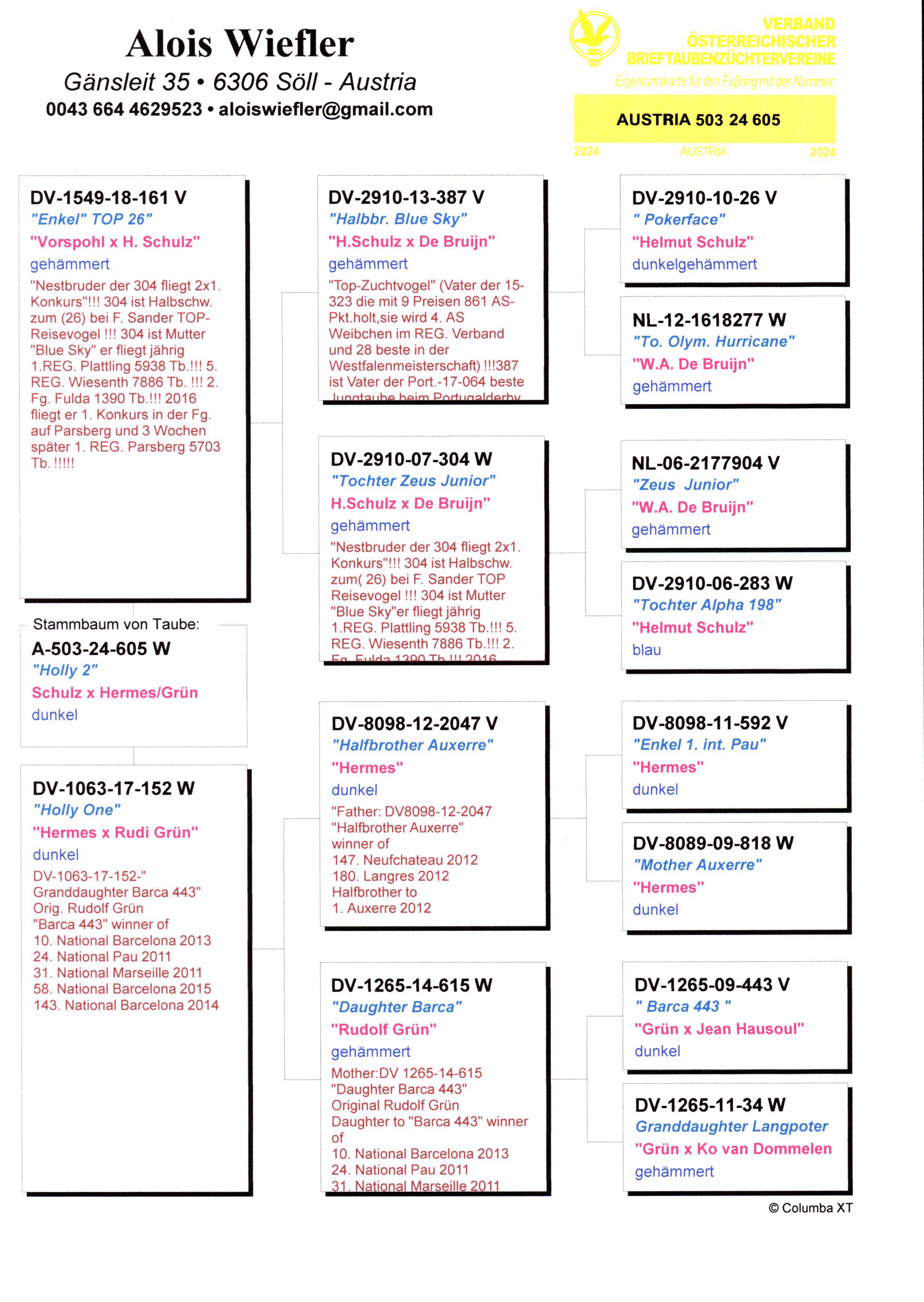 Pigeon pedigree image