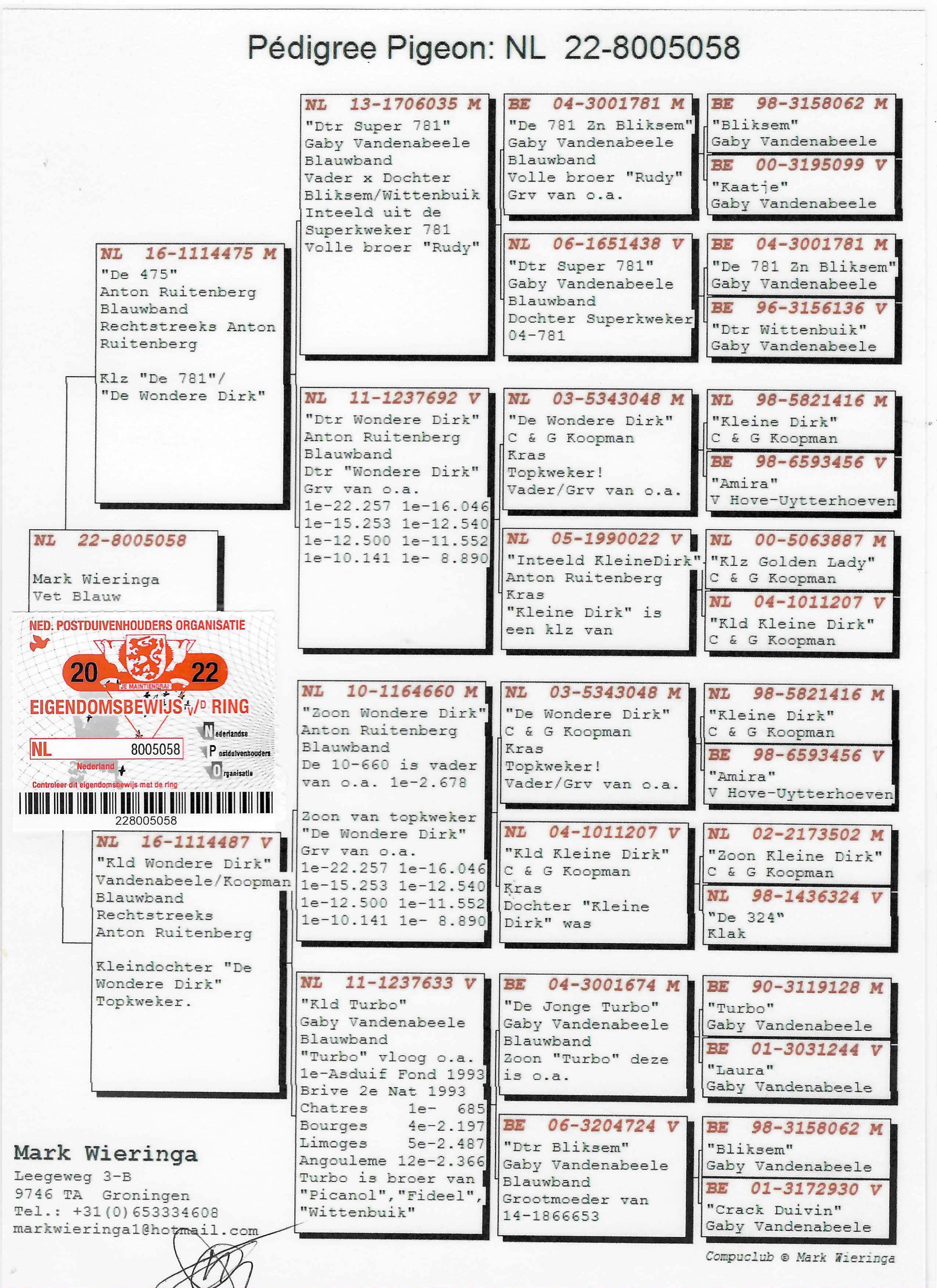Pigeon pedigree image