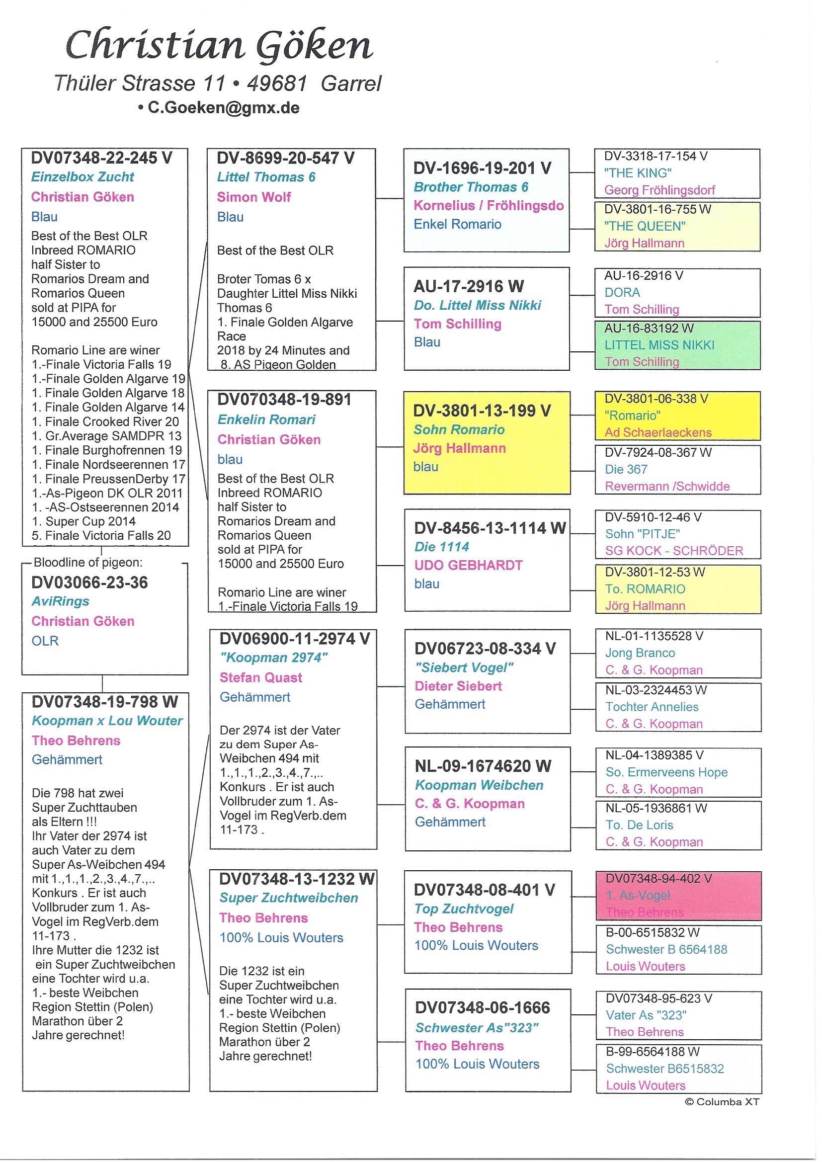 Pigeon pedigree image