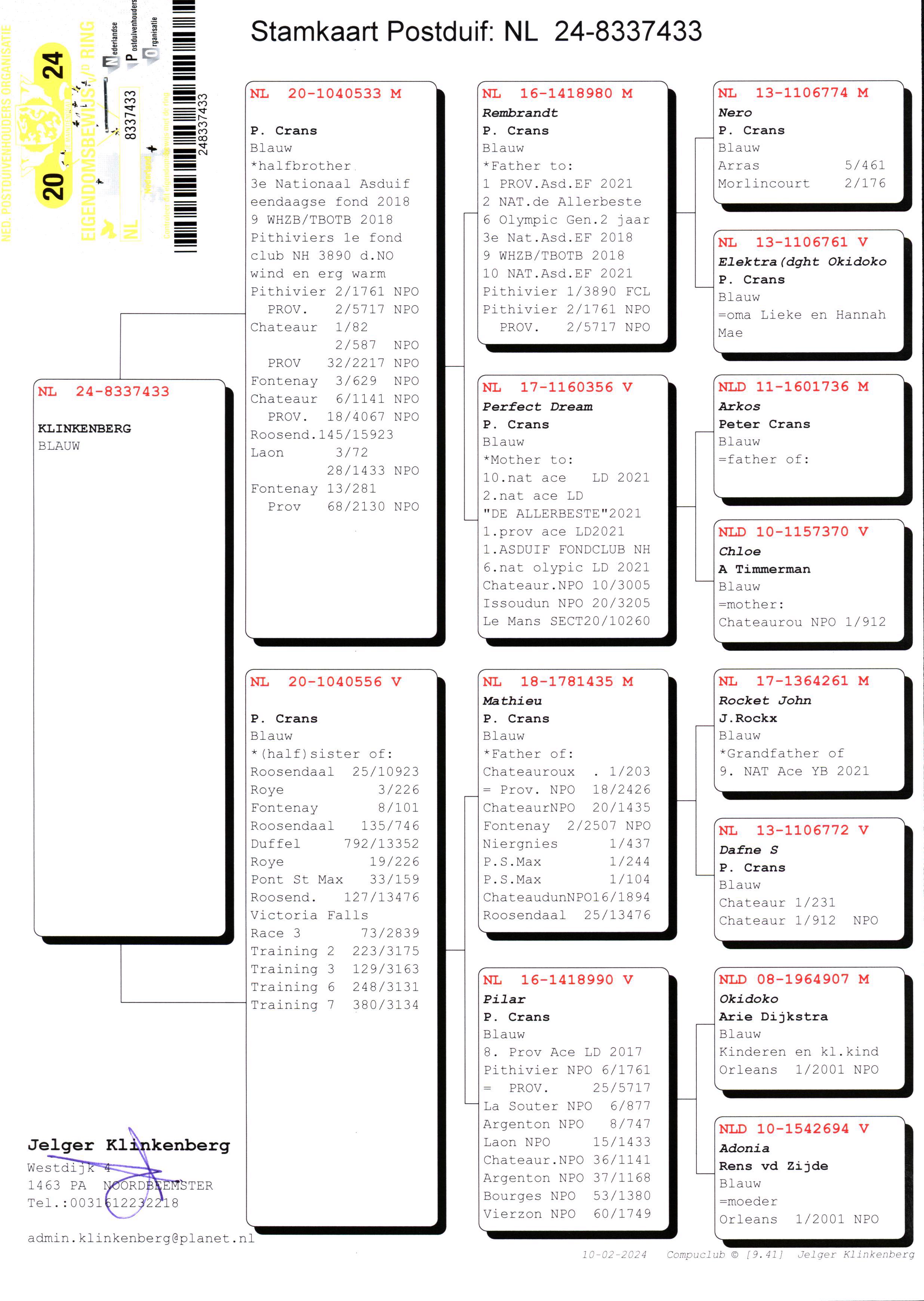 Pigeon pedigree image